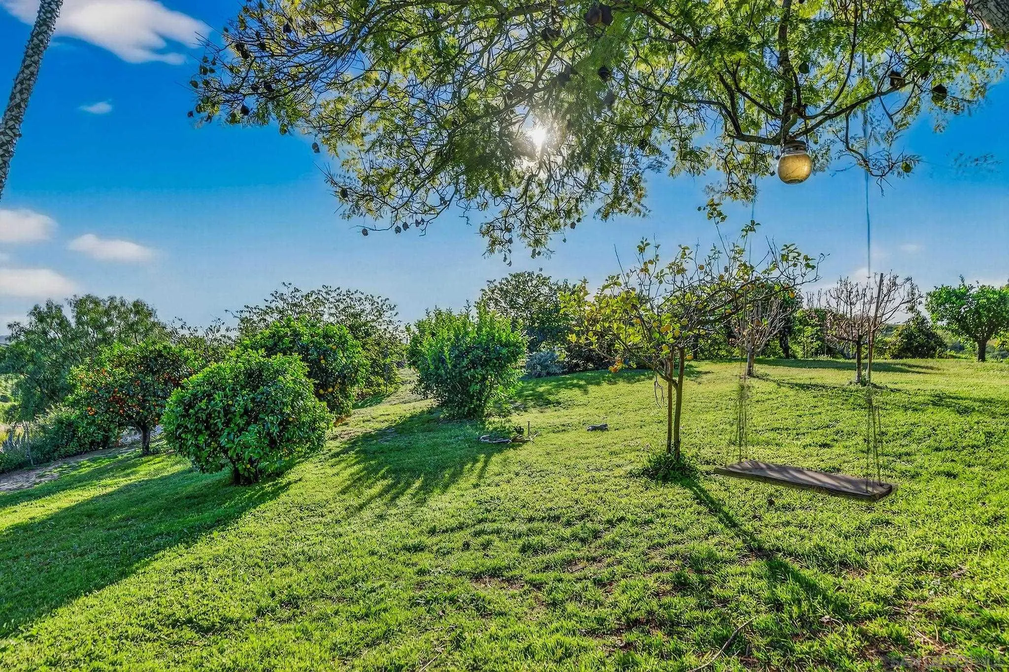 https://cdn.realtyfeed.com/cdn/127/260004856/3e03a3e26888fd1b2b8e4a9a6a616b6e.webp