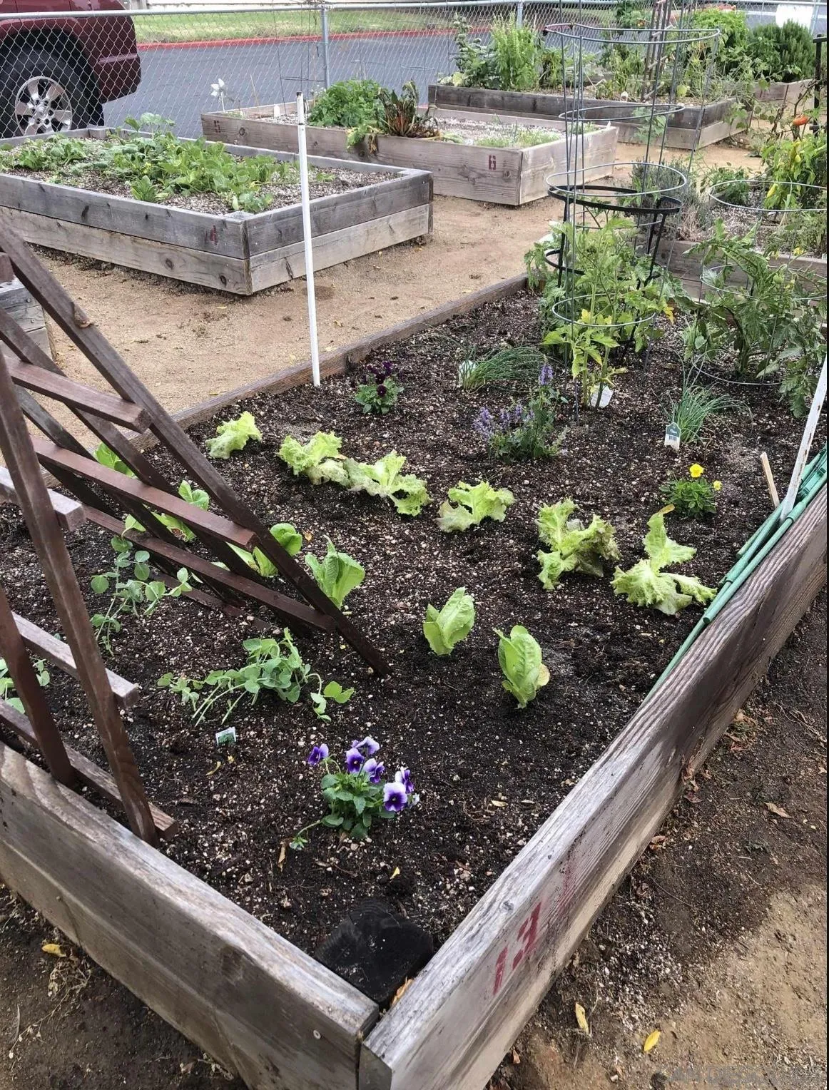 Photo #33: 260005077 Listing: Photo #33