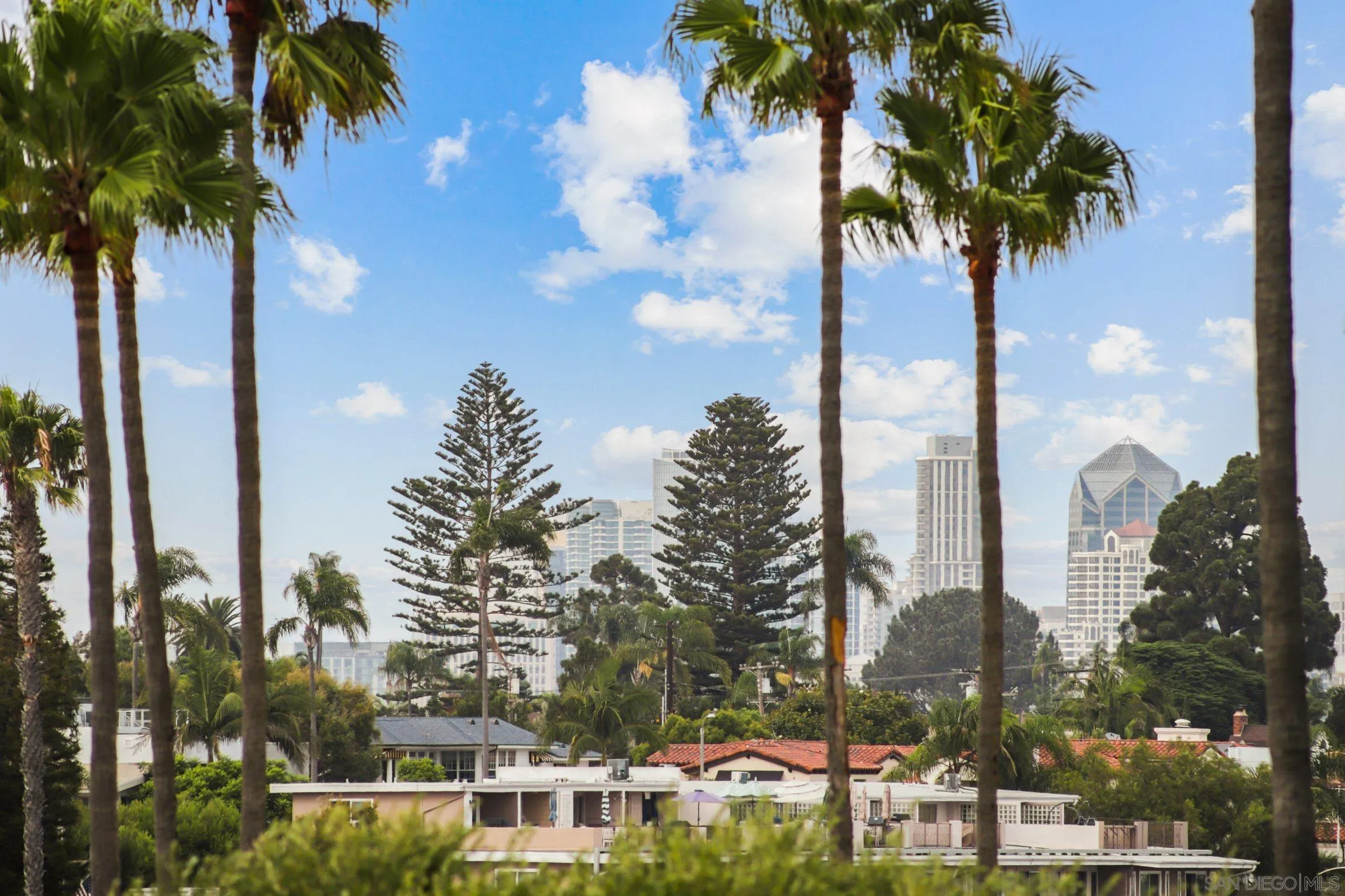 Photo #28: 260005147 Listing: Photo #28