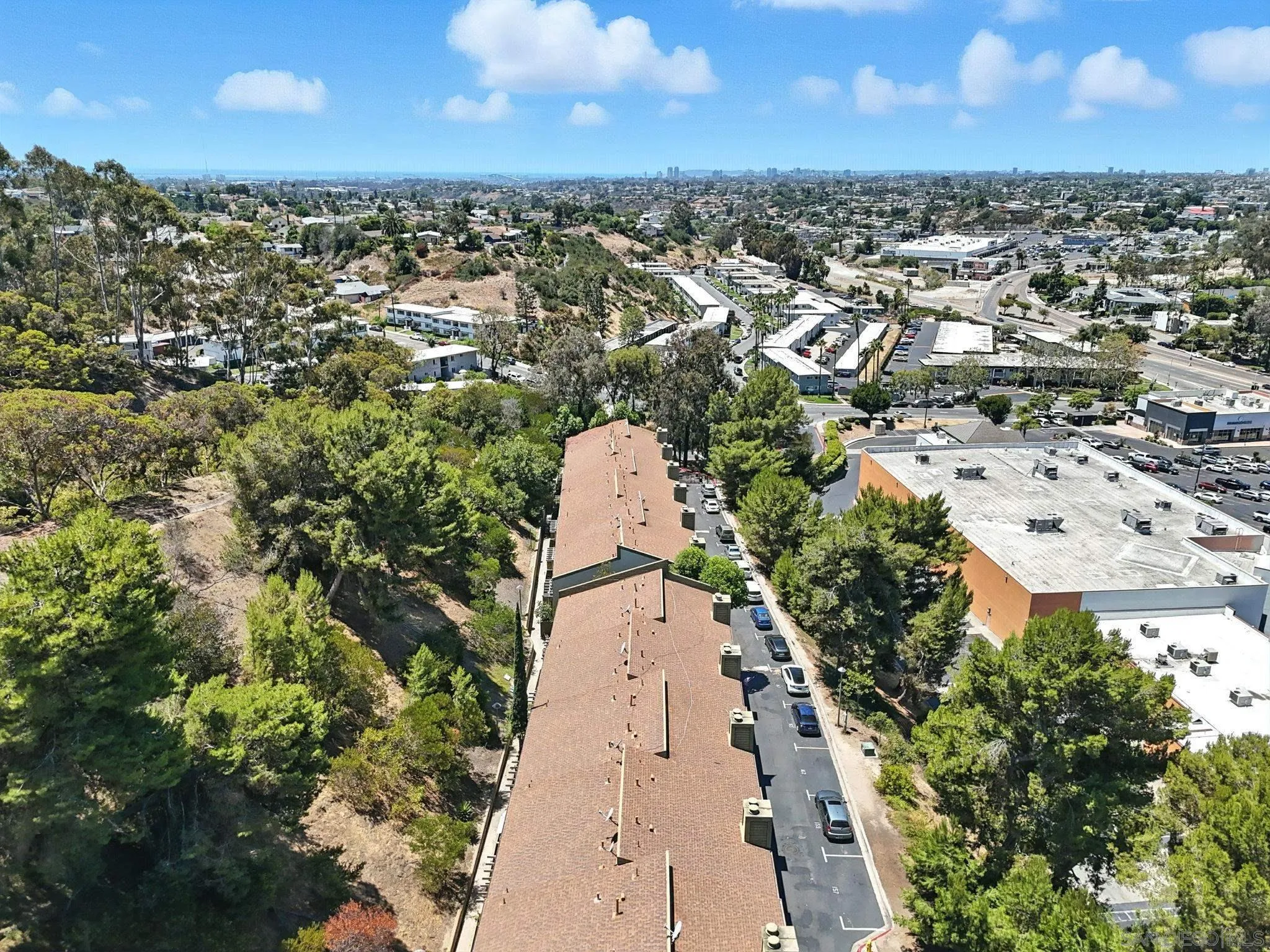 Photo #31: 260005148 Listing: Photo #31