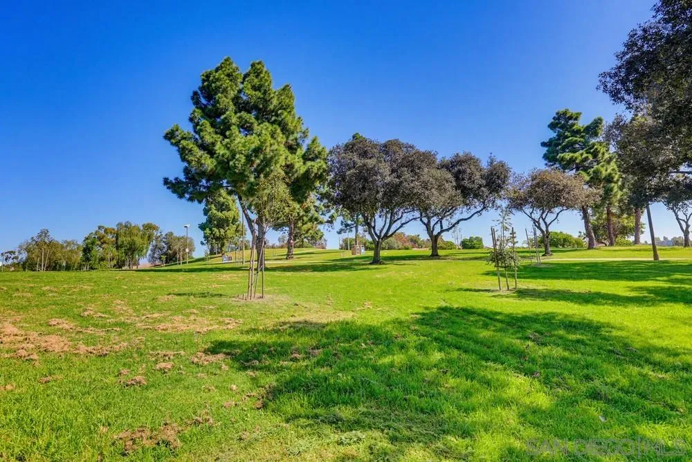 Photo #57: 260005265 Listing: Photo #57