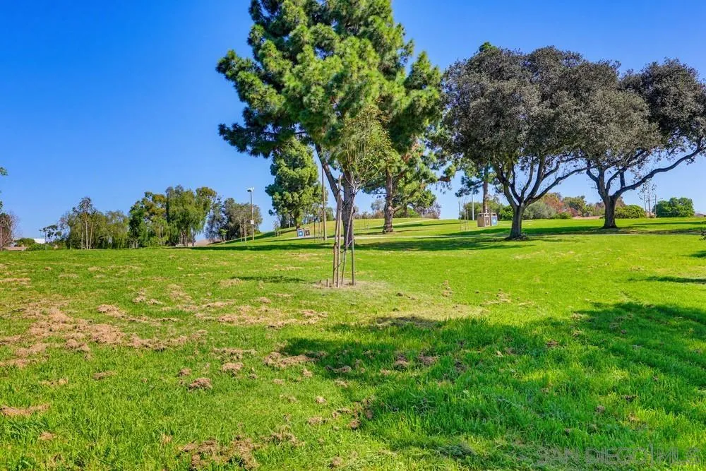 Photo #56: 260005265 Listing: Photo #56