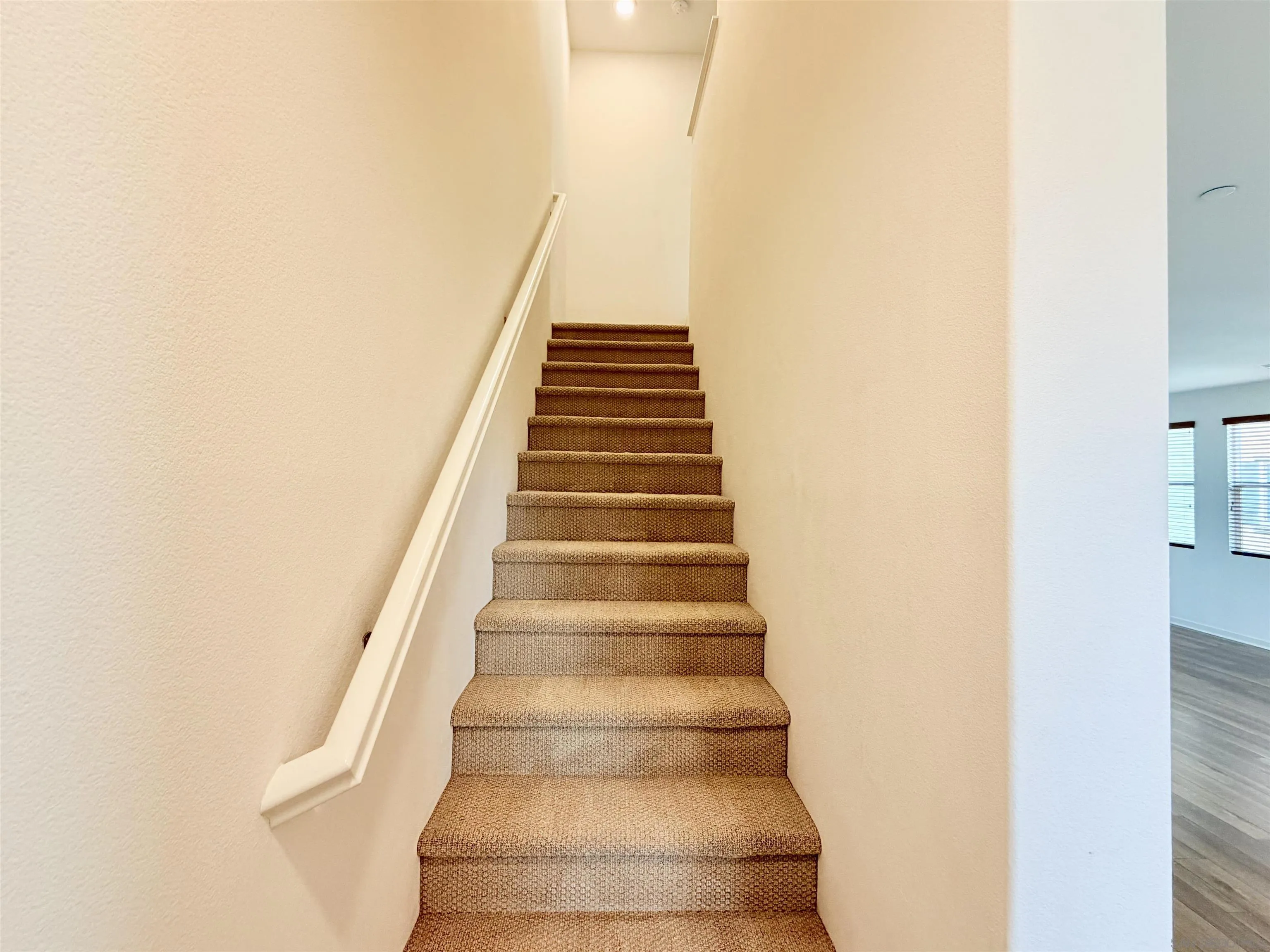 Photo #23: 260005387 Listing: Photo #23
