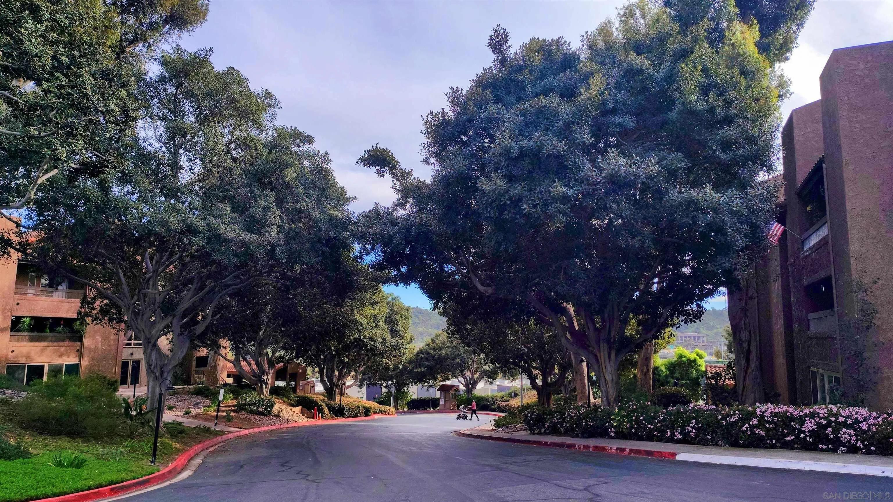 Photo #38: 260005421 Listing: Photo #38