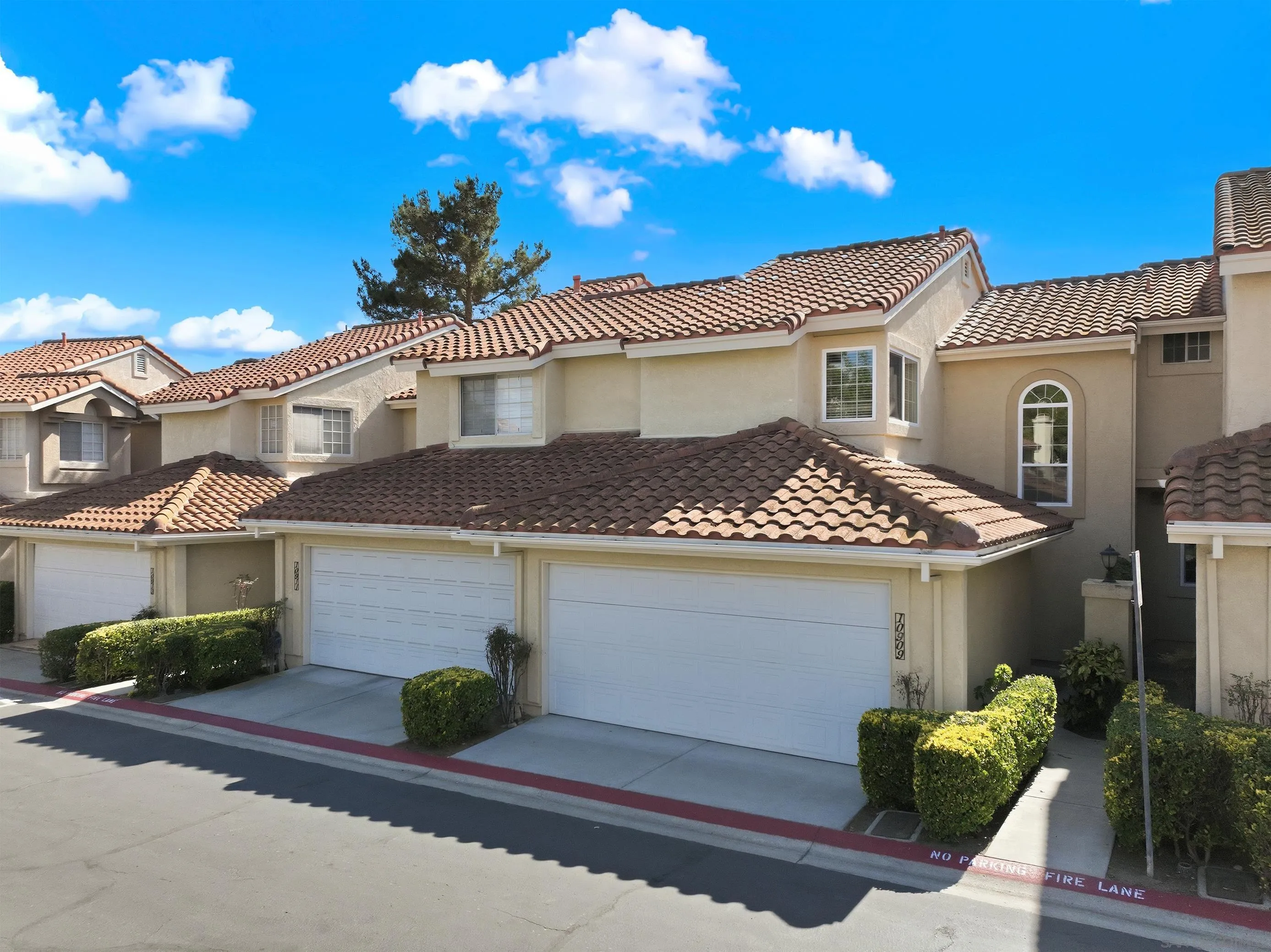 Photo #1: 260005519 Listing: Photo #1