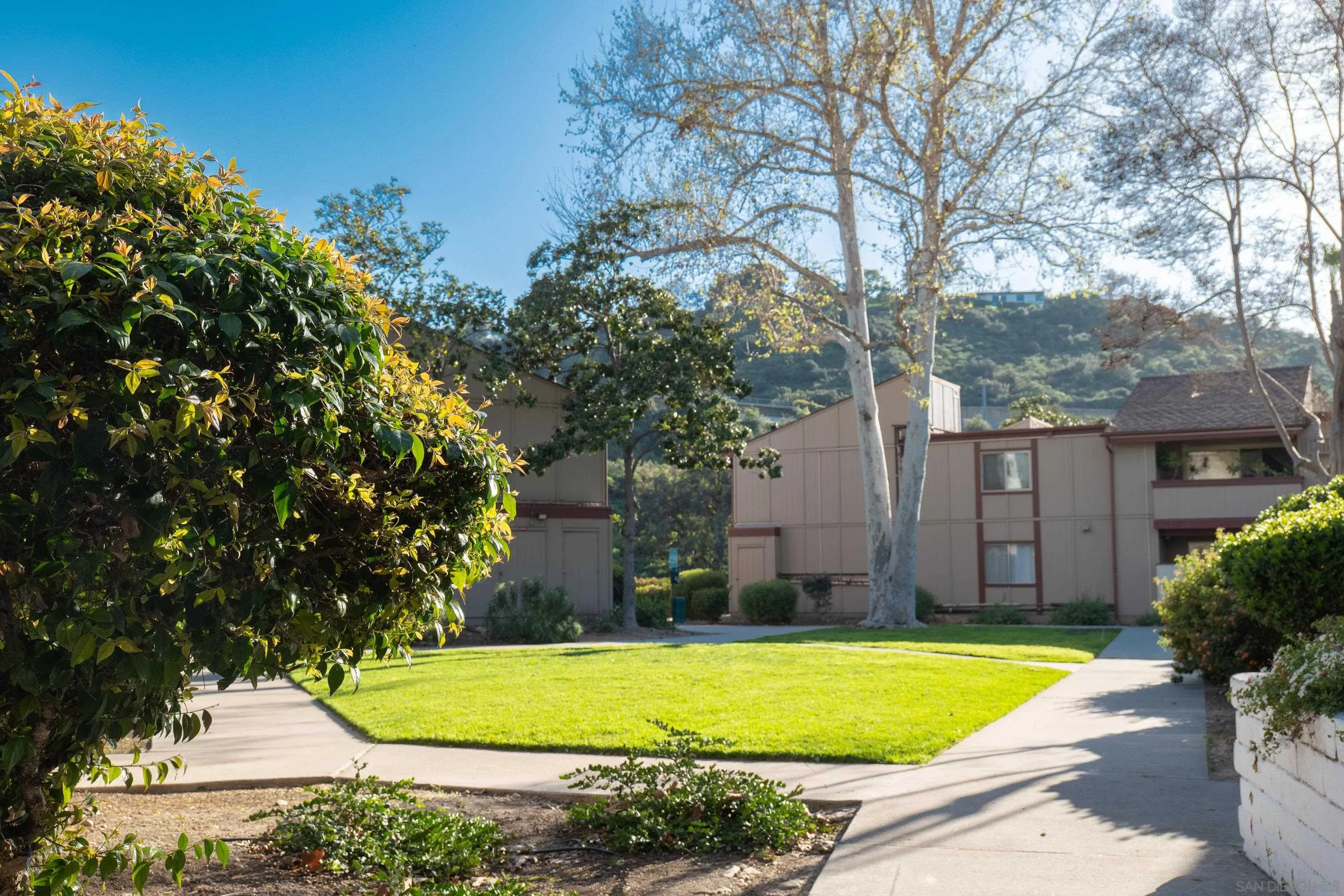 Photo #27: 260005552 Listing: Photo #27