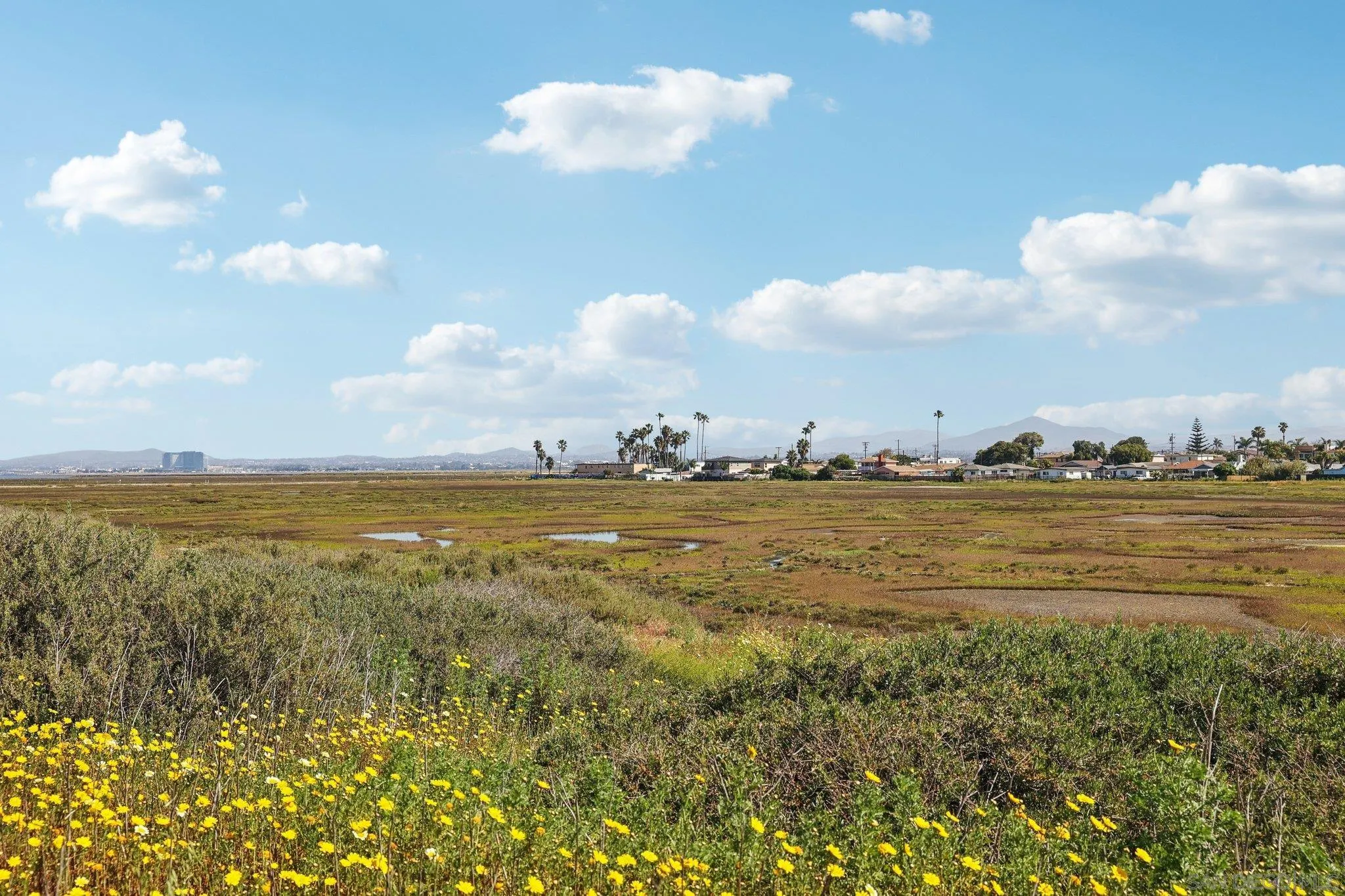 Photo #8: 260005848 Listing: Photo #8