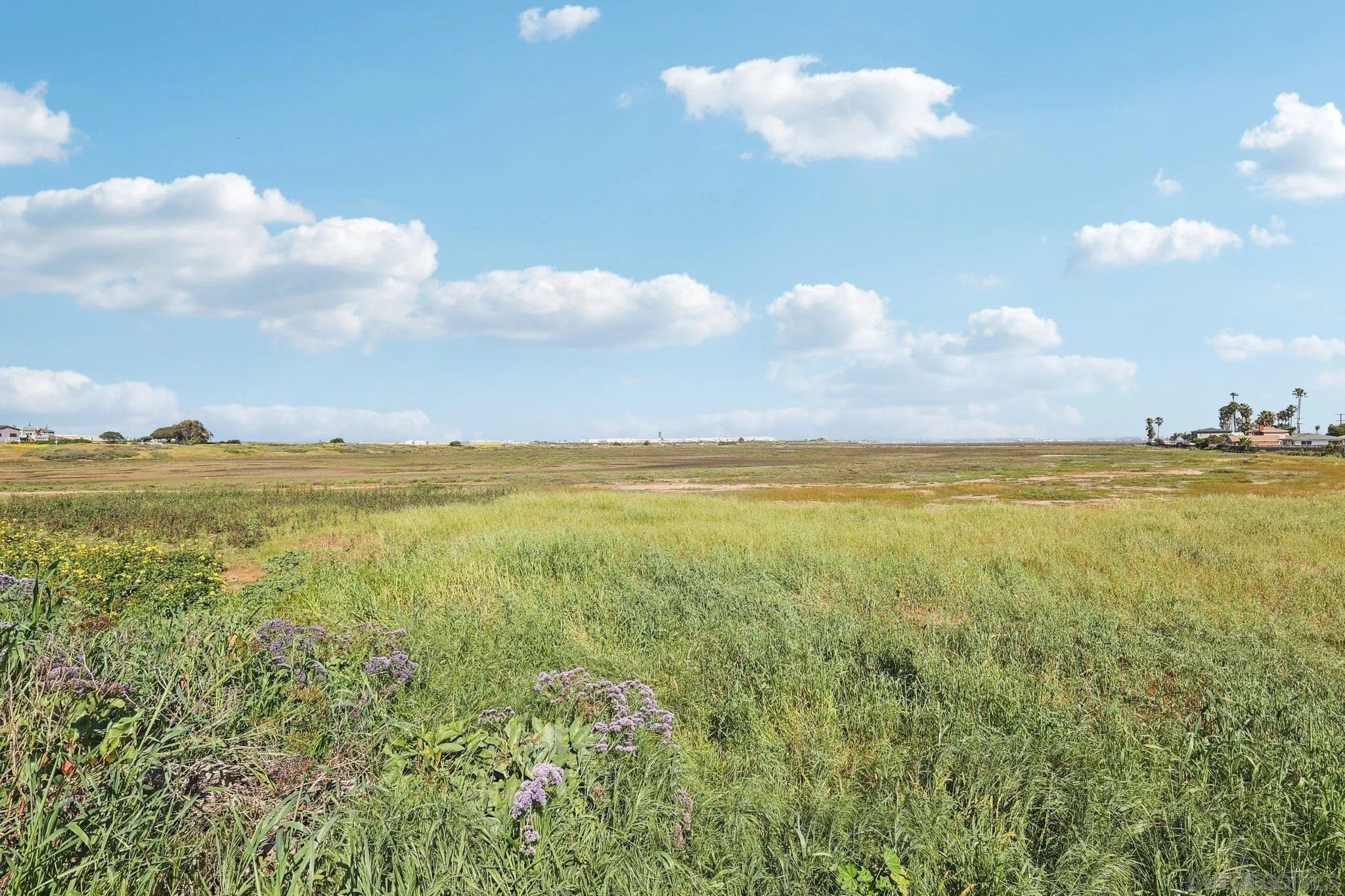 Photo #53: 260005848 Listing: Photo #53