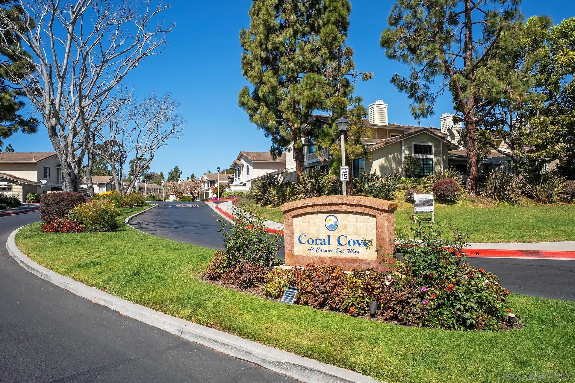 Photo #49: 260005877 Listing: Photo #49