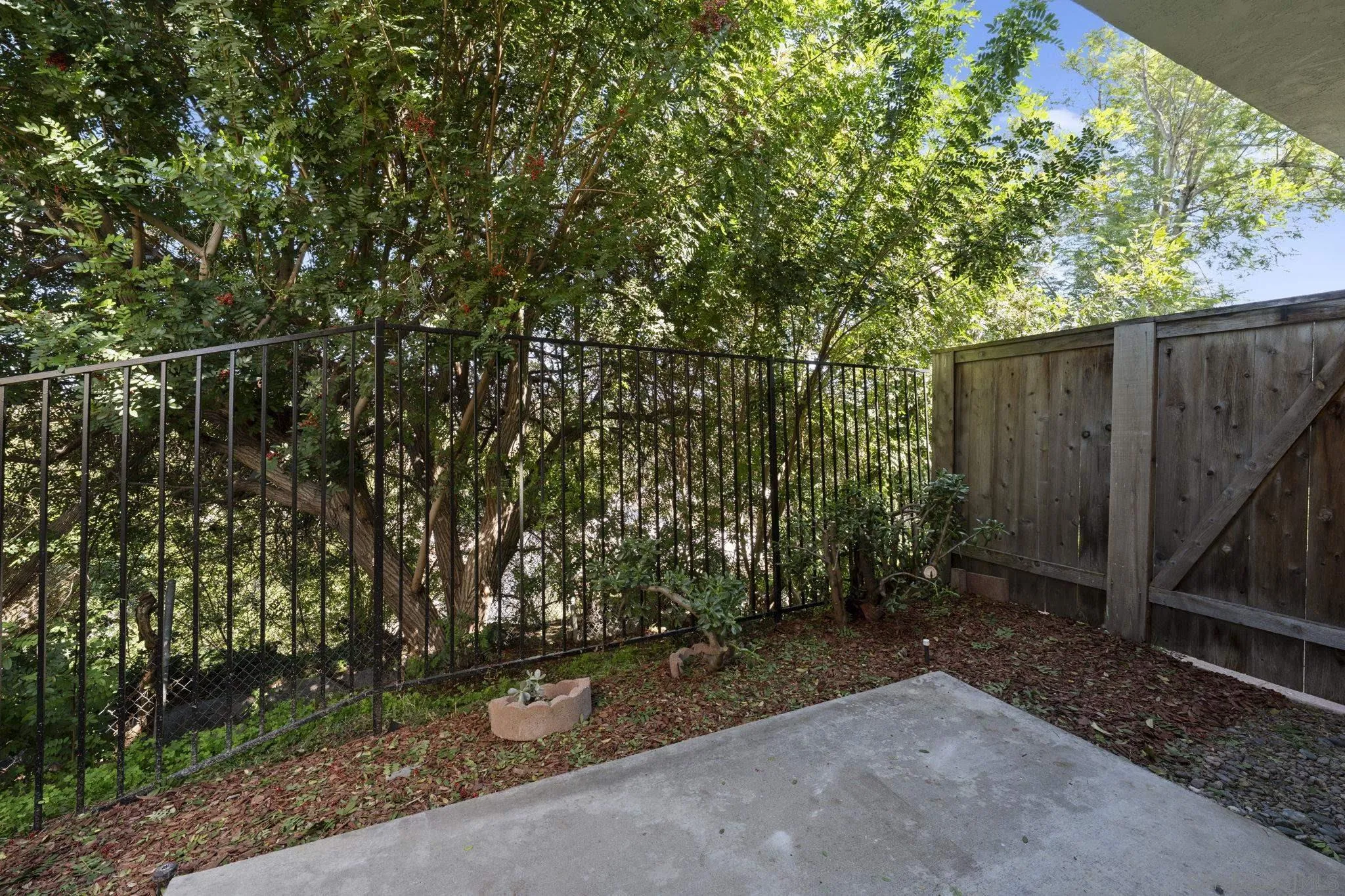 Photo #18: 260005934 Listing: Photo #18