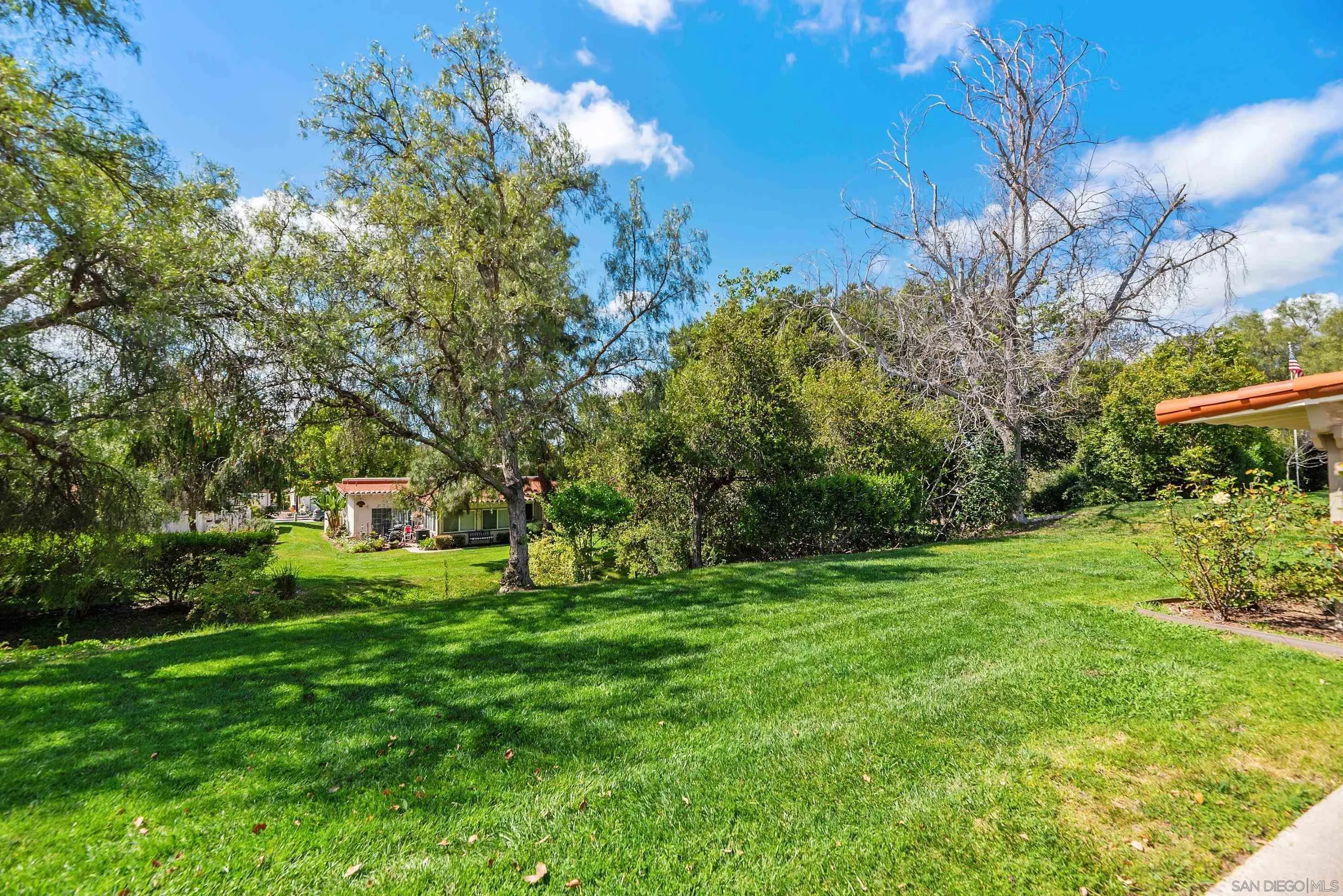 Photo #2: 260006029 Listing: Photo #2