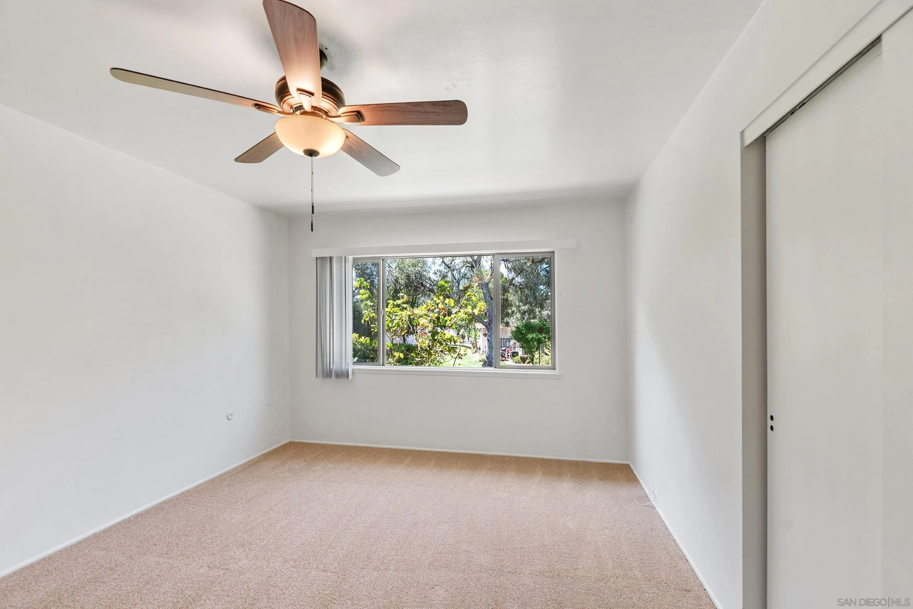 Photo #18: 260006029 Listing: Photo #18