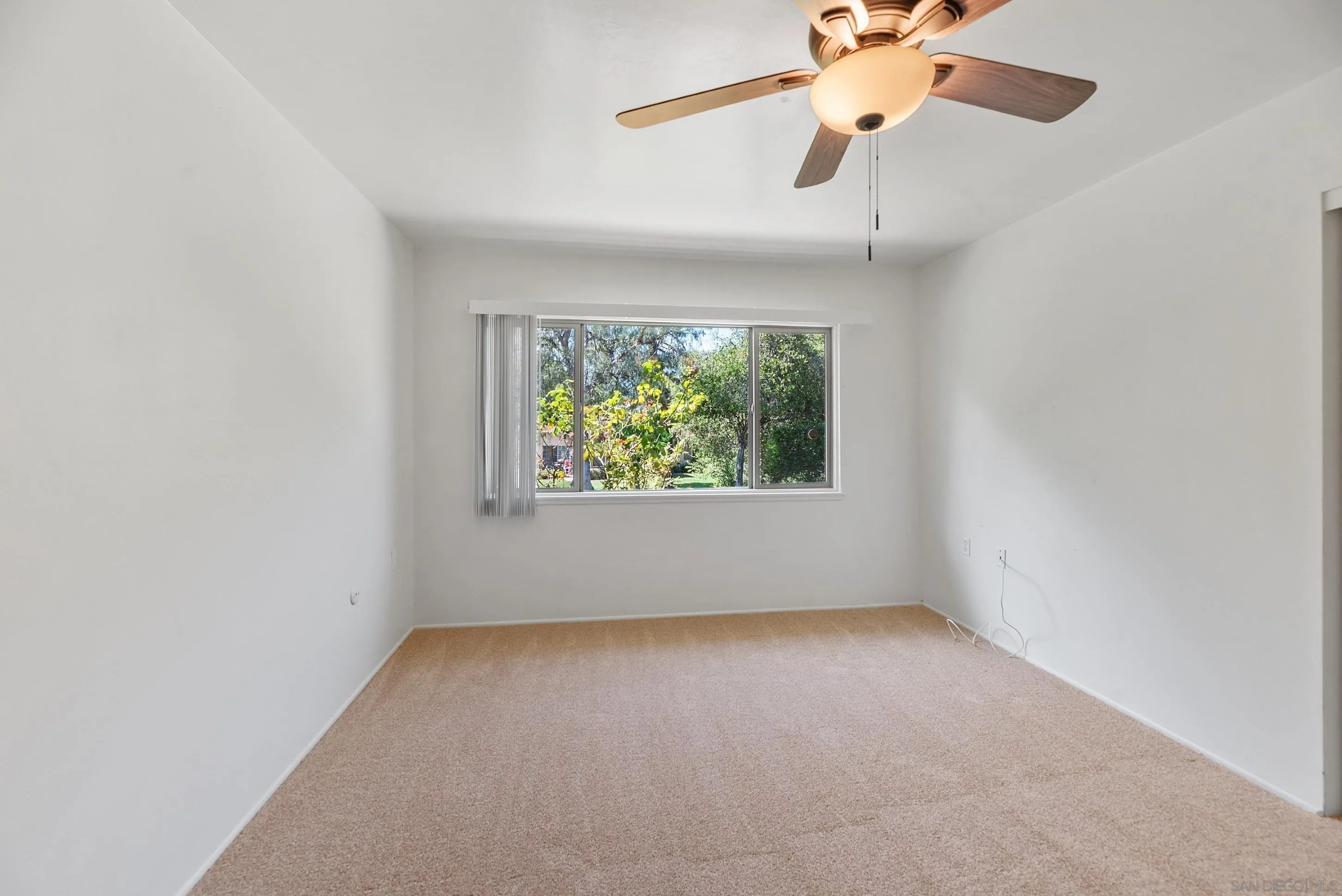 Photo #19: 260006029 Listing: Photo #19