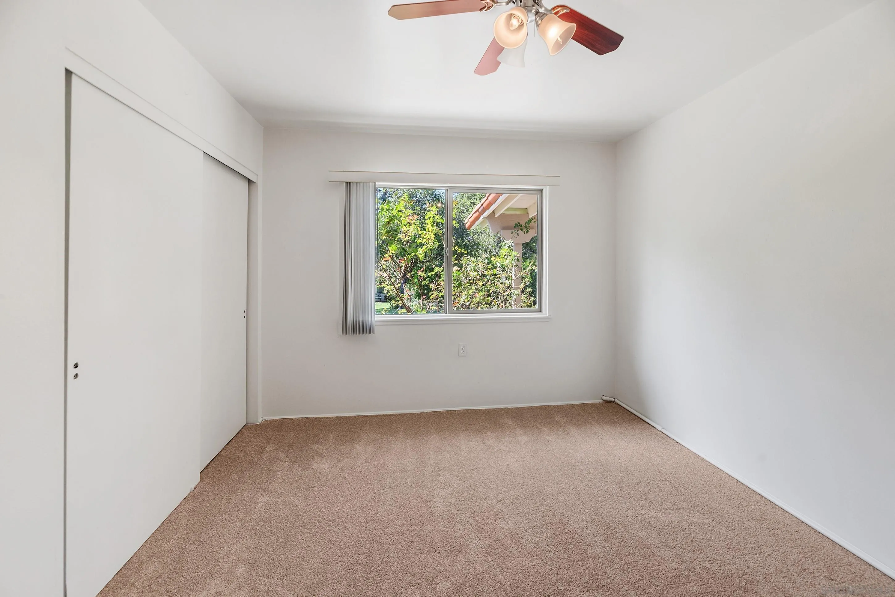 Photo #24: 260006029 Listing: Photo #24