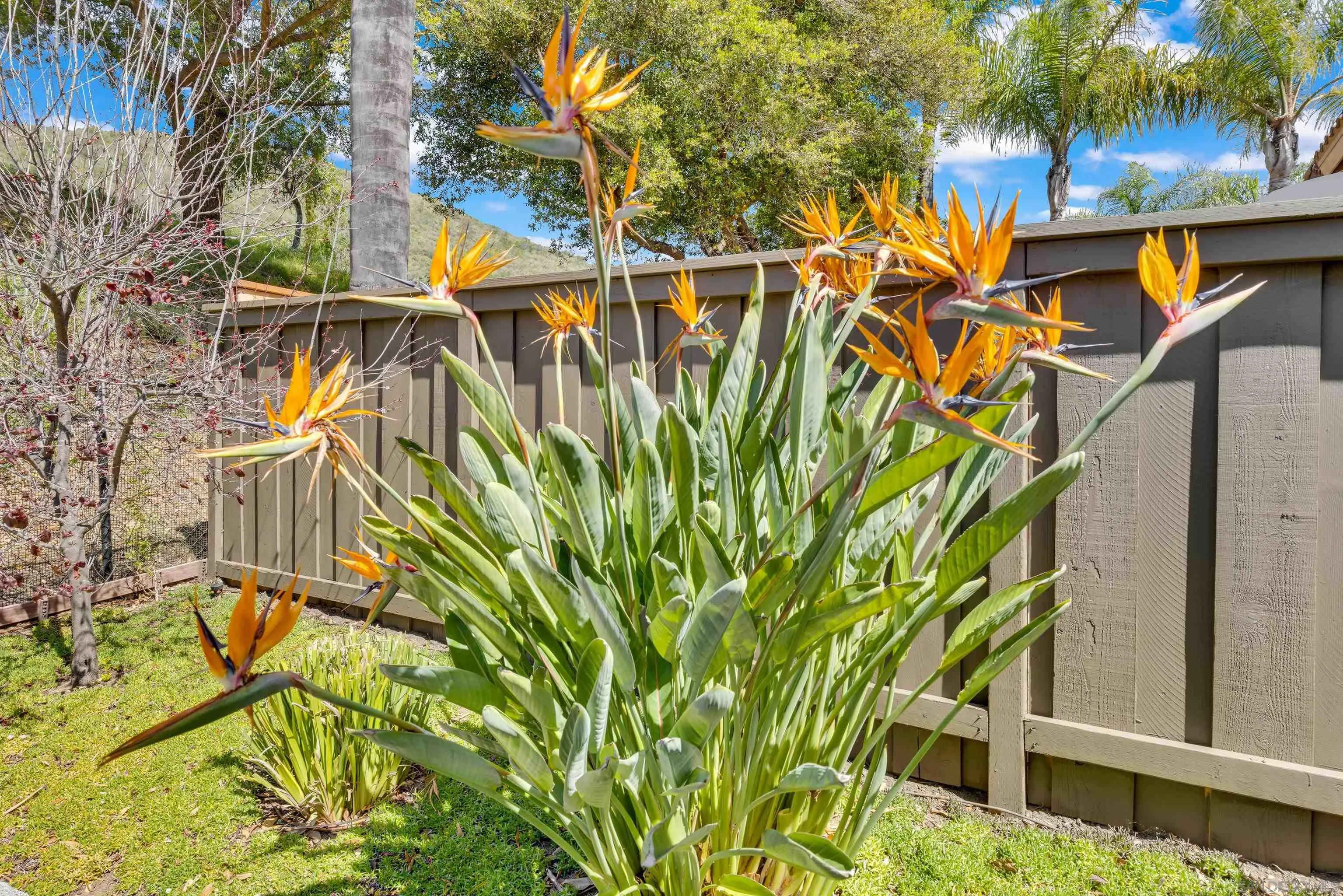 https://cdn.realtyfeed.com/cdn/127/260006138/3d5337476dbbf0579888ce9cff2f207f.webp