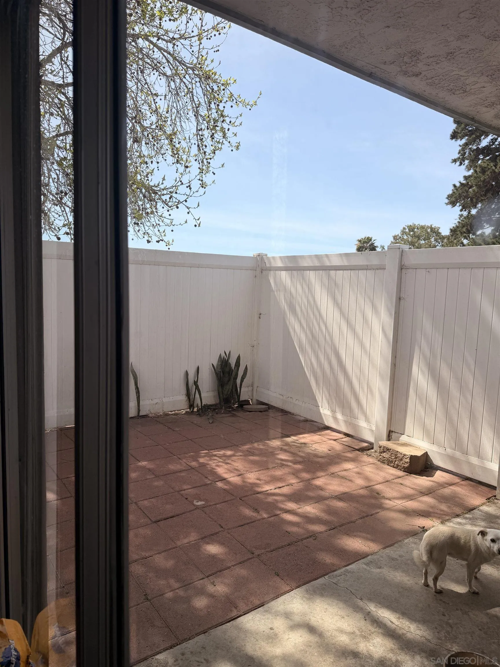 Photo #6: 260006263 Listing: Photo #6