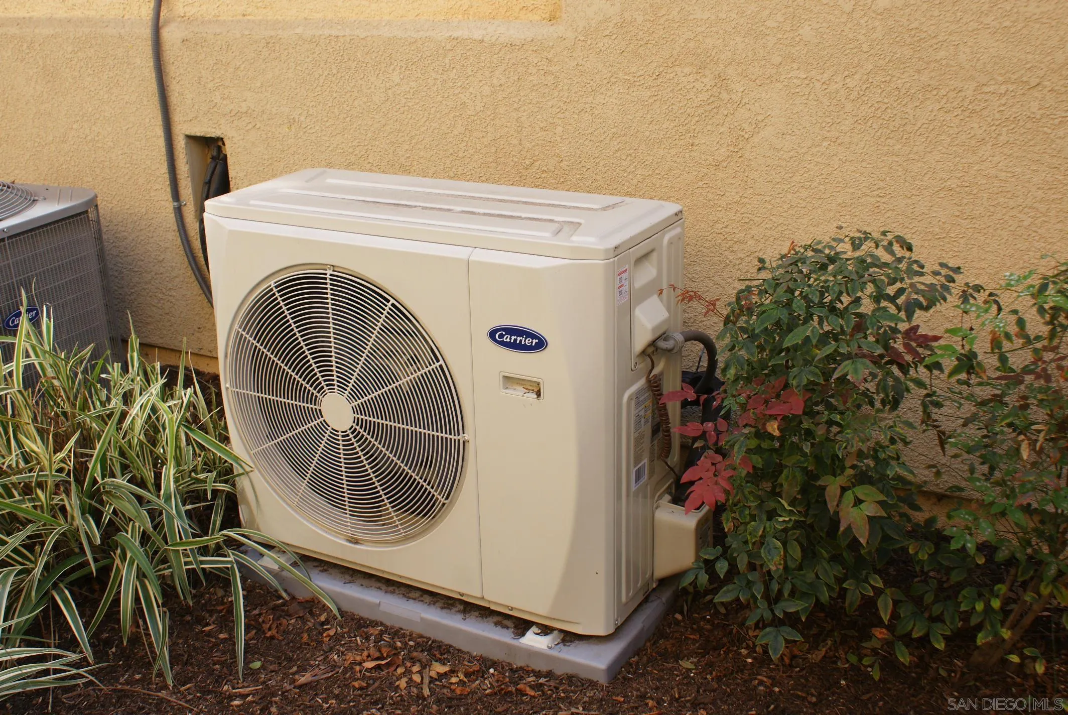 Photo #22: 260006474 Listing: Photo #22