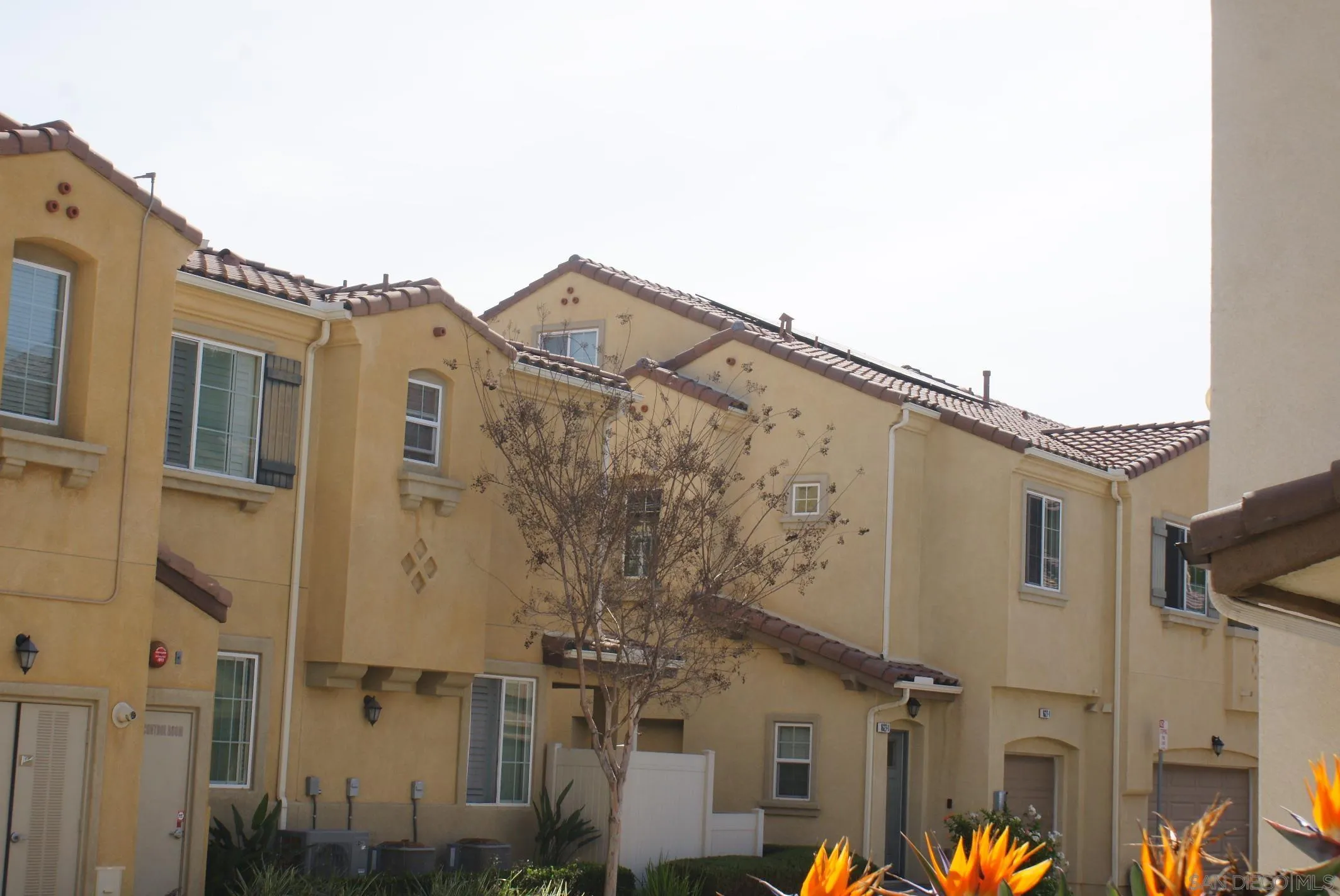 Photo #21: 260006474 Listing: Photo #21