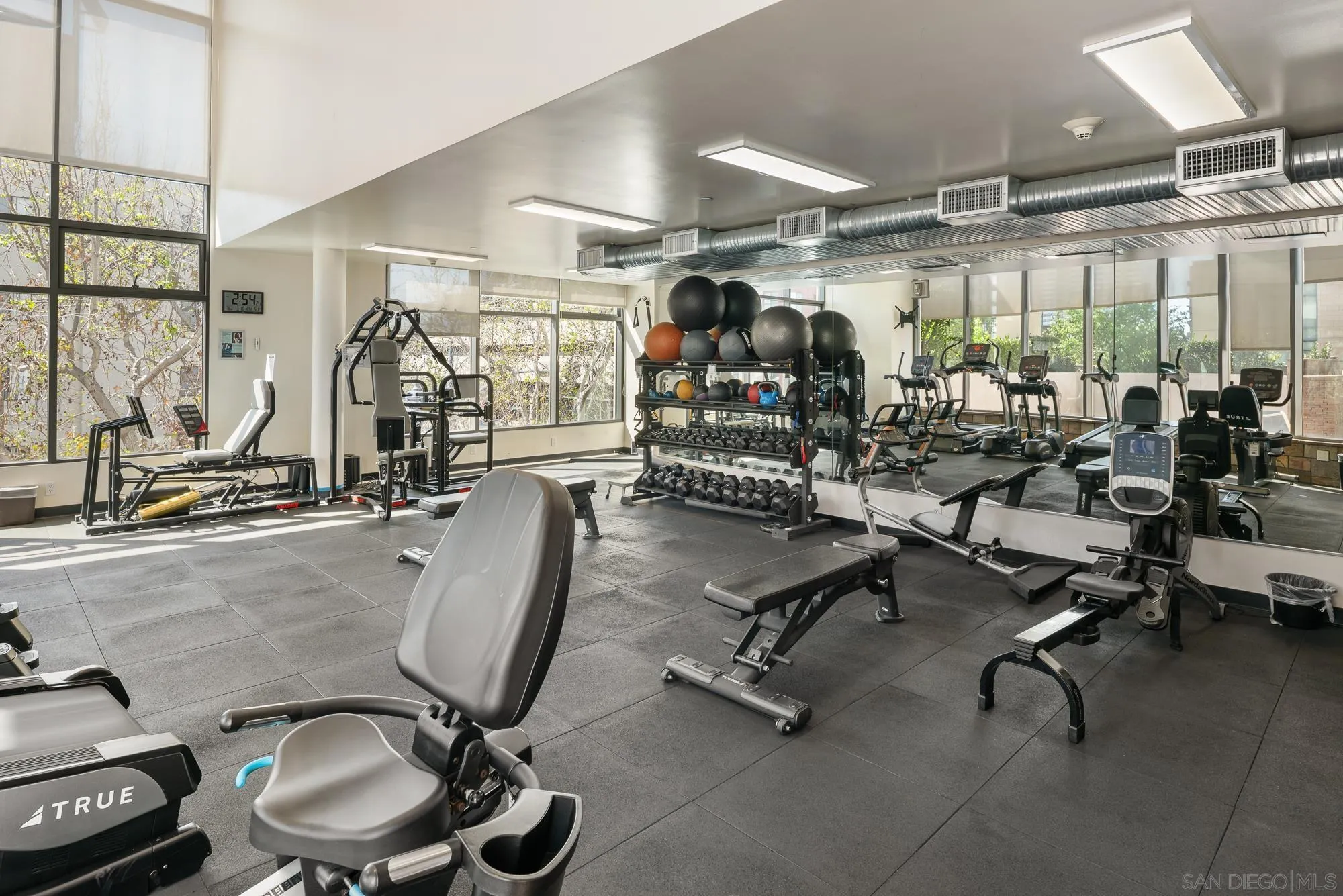 Photo #29: 260006505 Listing: Photo #29