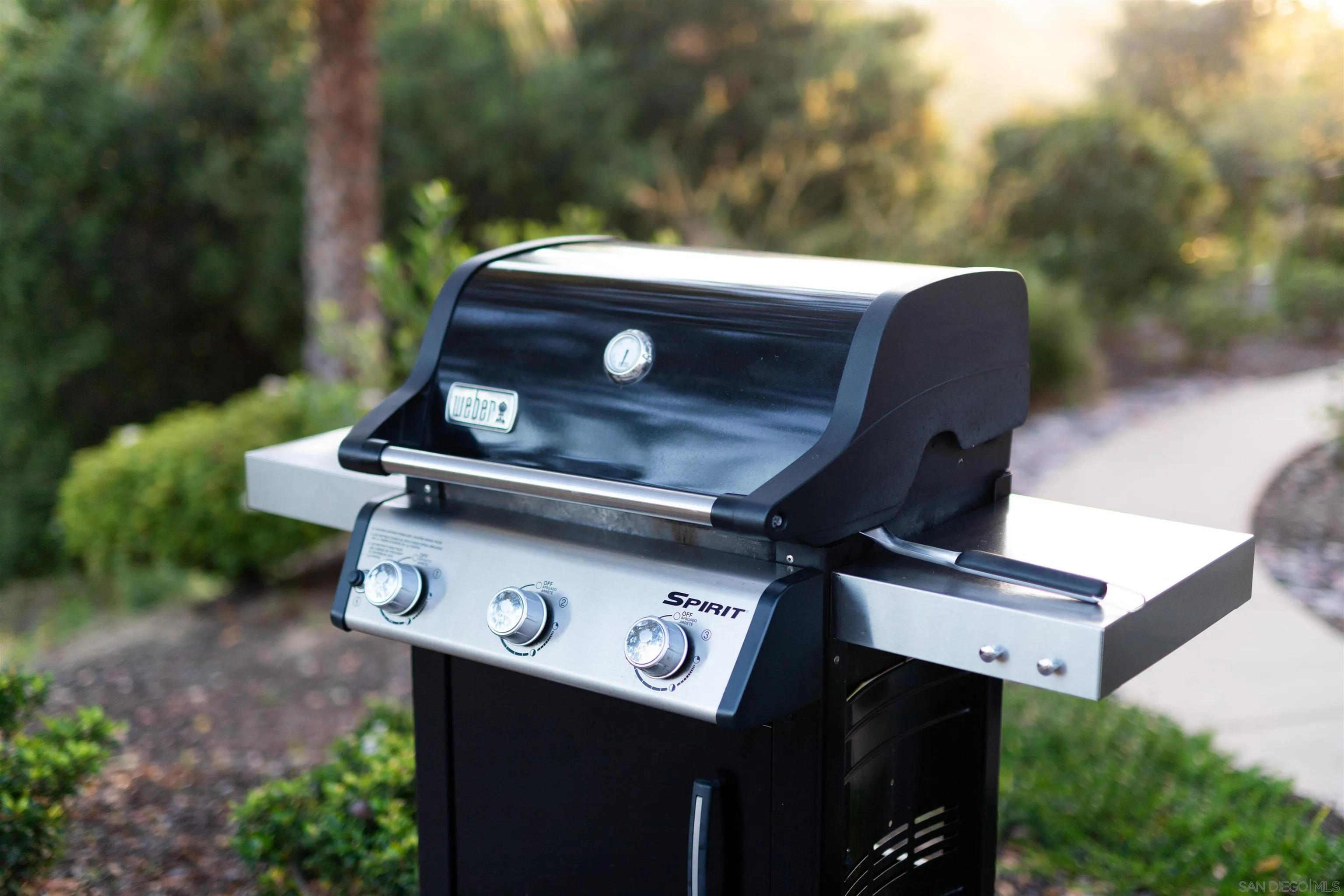 Photo #24: 260006629 Listing: Photo #24