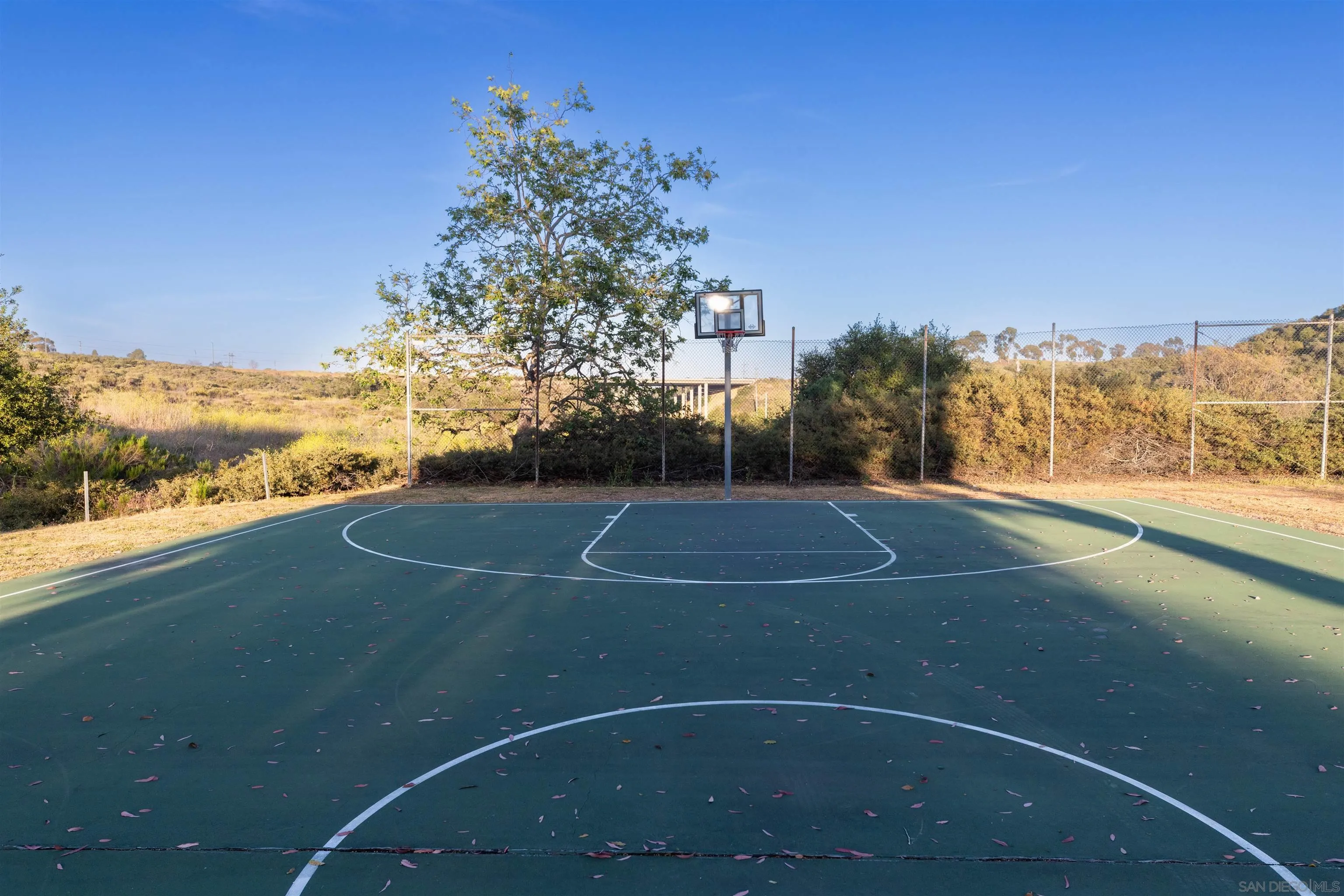 Photo #30: 260006629 Listing: Photo #30