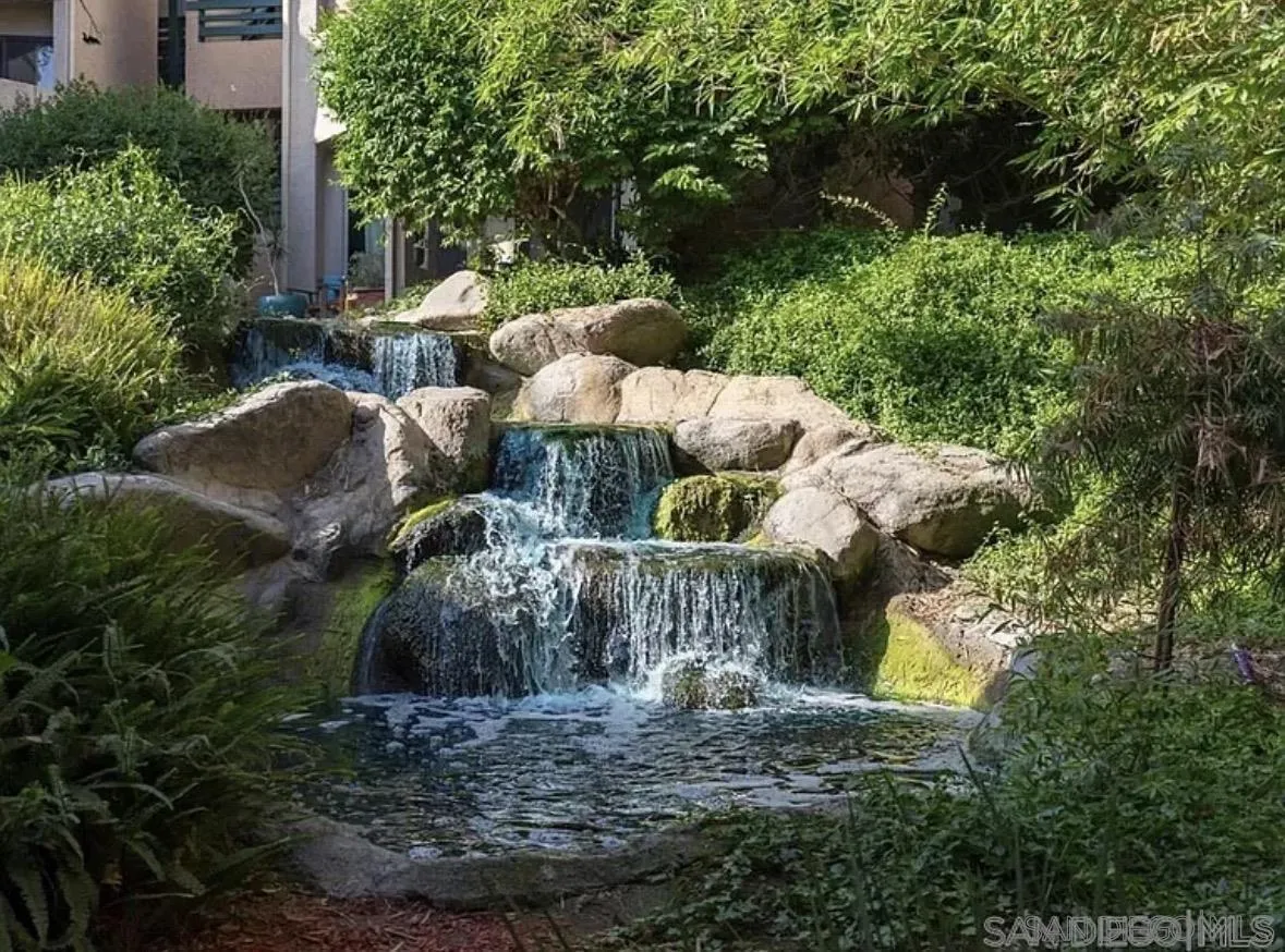 Photo #6: 260006644 Listing: Photo #6