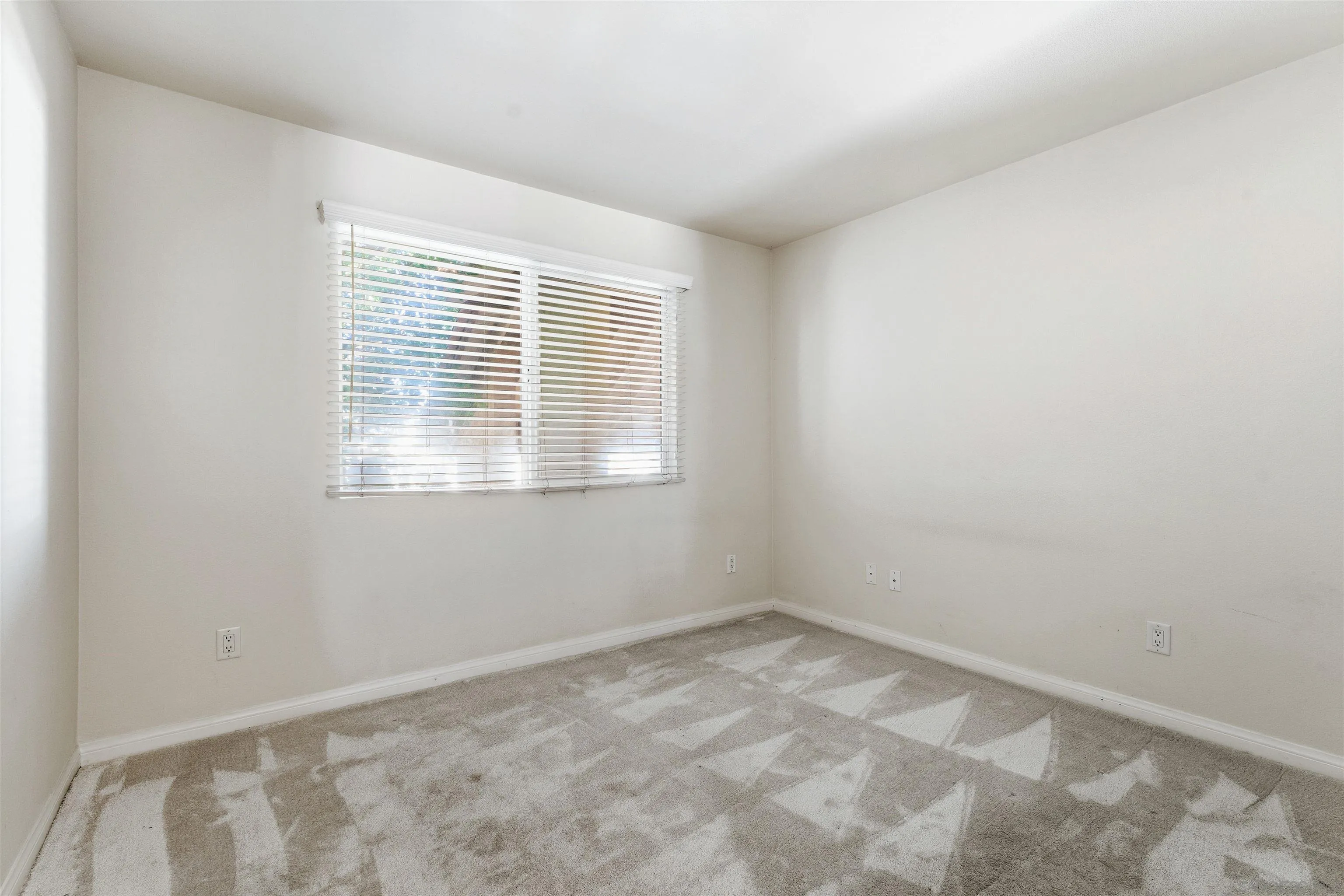 Photo #19: 260006744 Listing: Photo #19