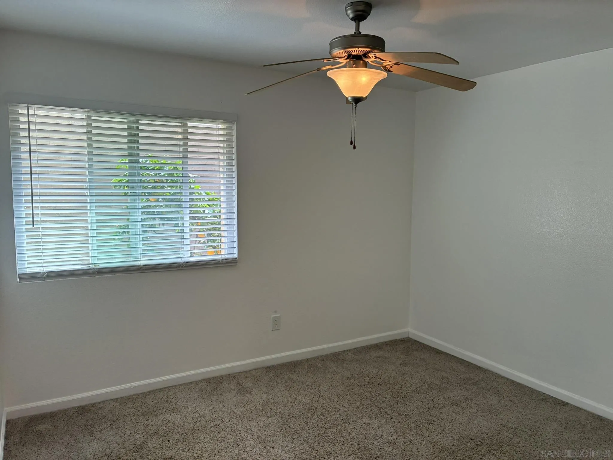 Photo #25: 260006781 Listing: Photo #25