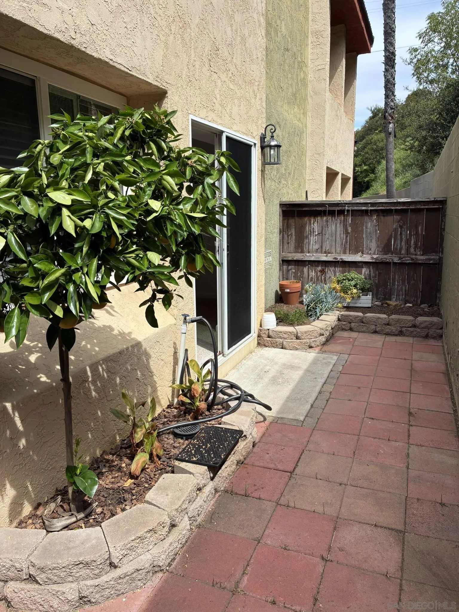 Photo #21: 260006781 Listing: Photo #21