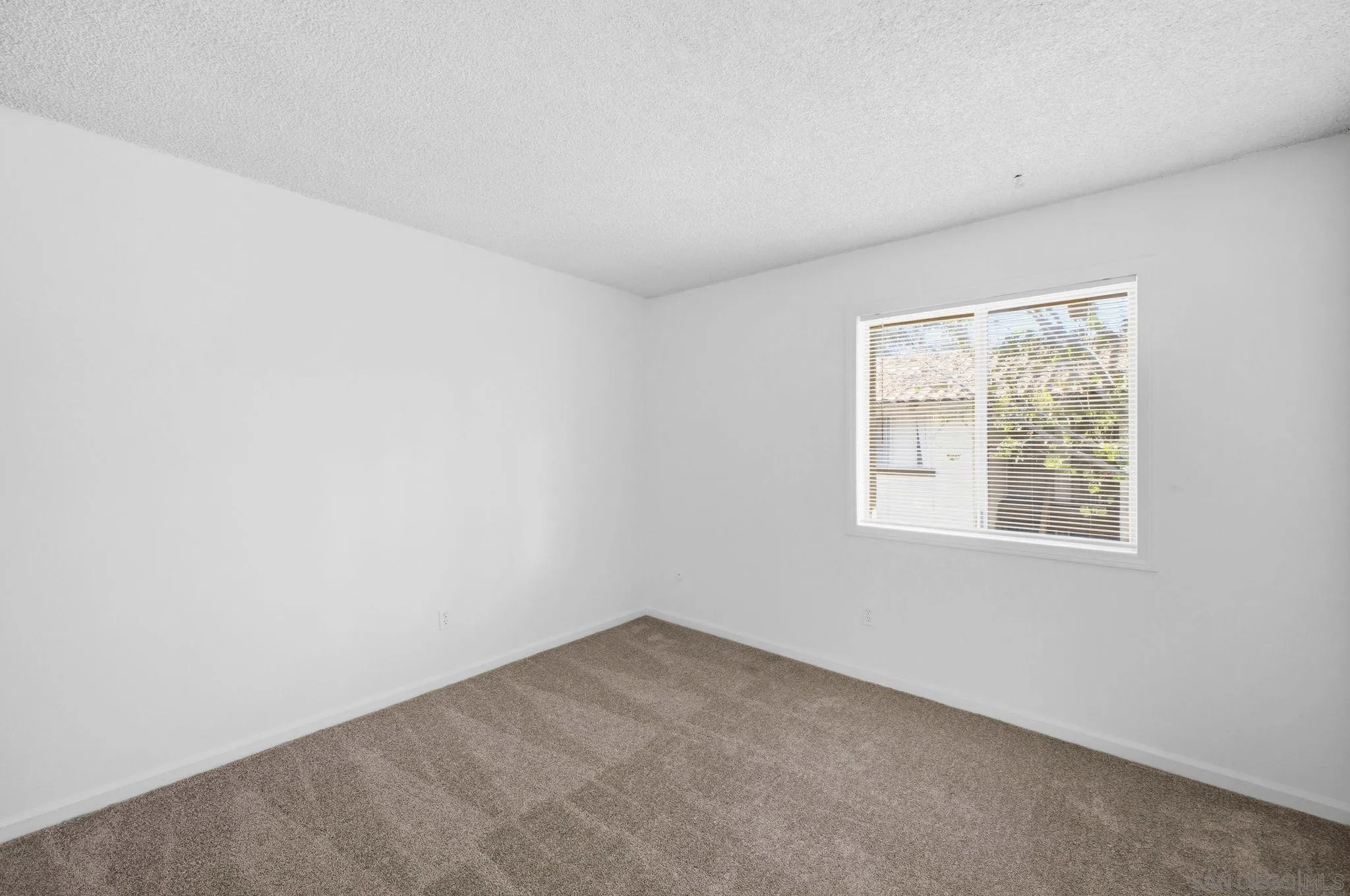 Photo #23: 260006971 Listing: Photo #23