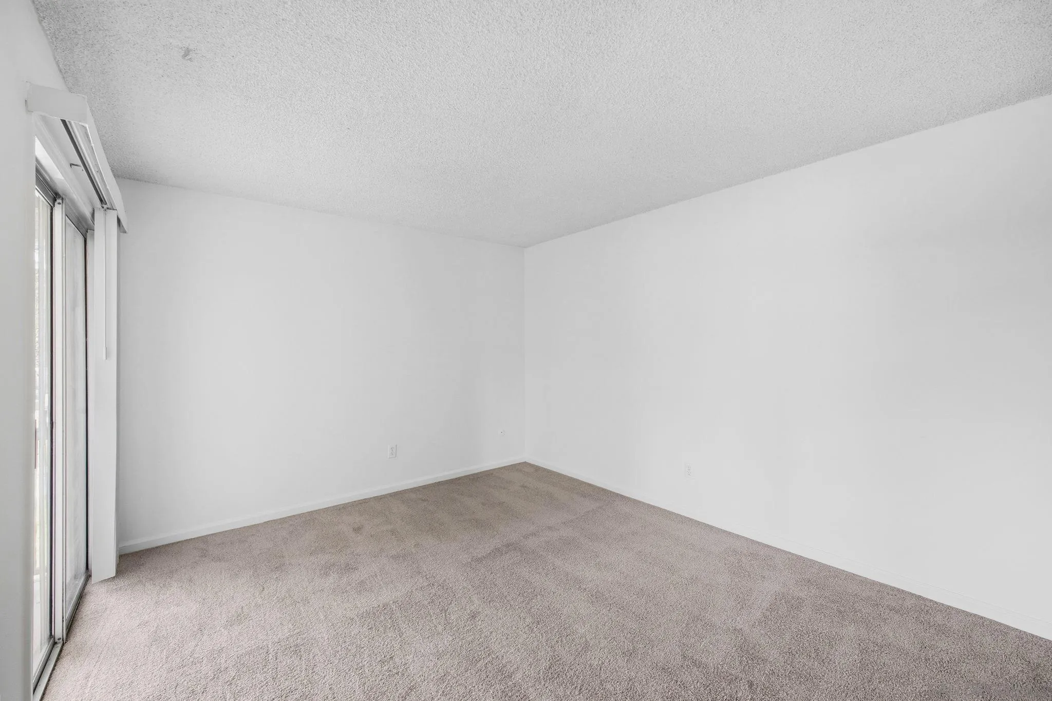 Photo #22: 260006971 Listing: Photo #22