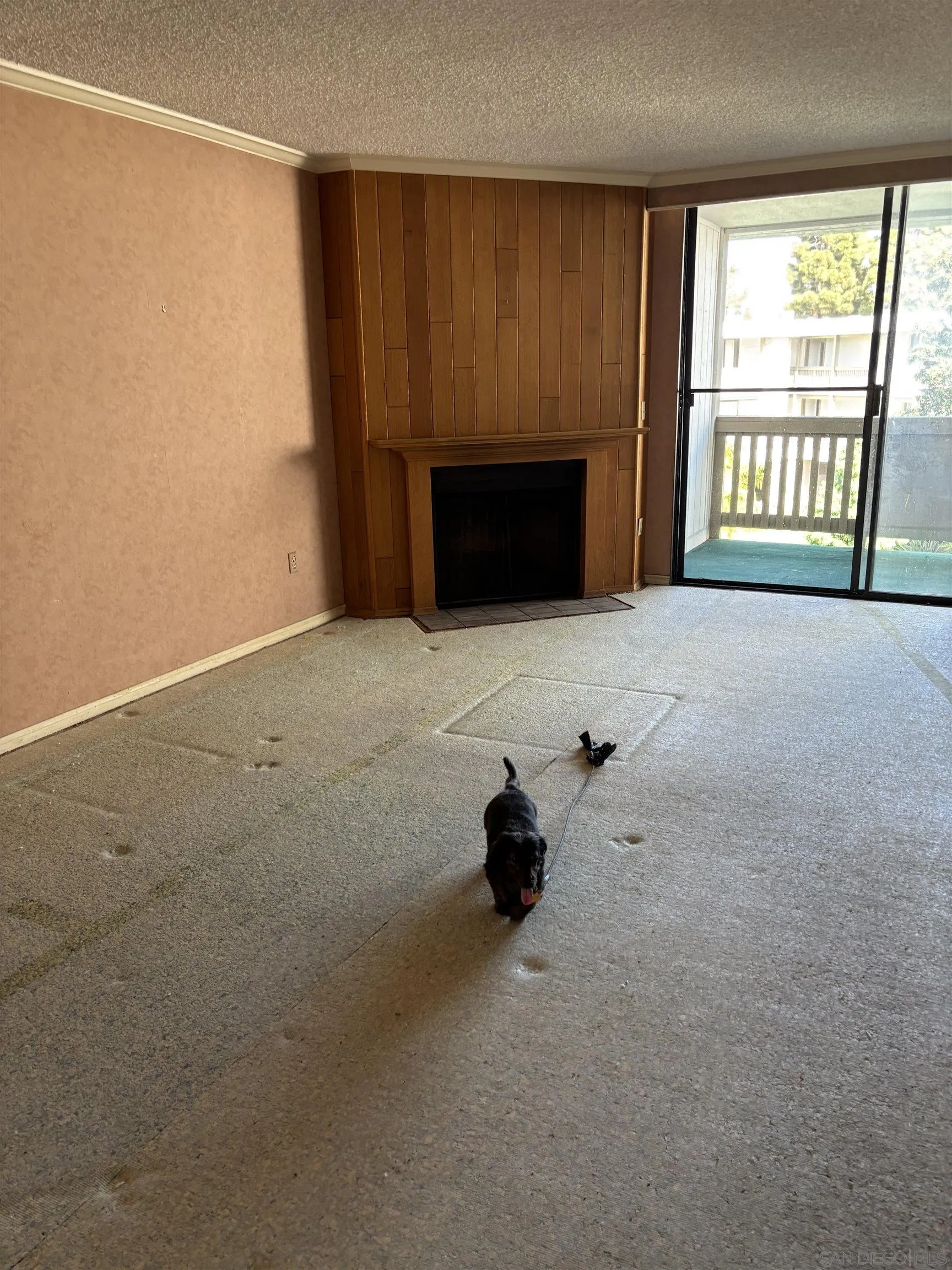 Photo #3: 260007010 Listing: Photo #3