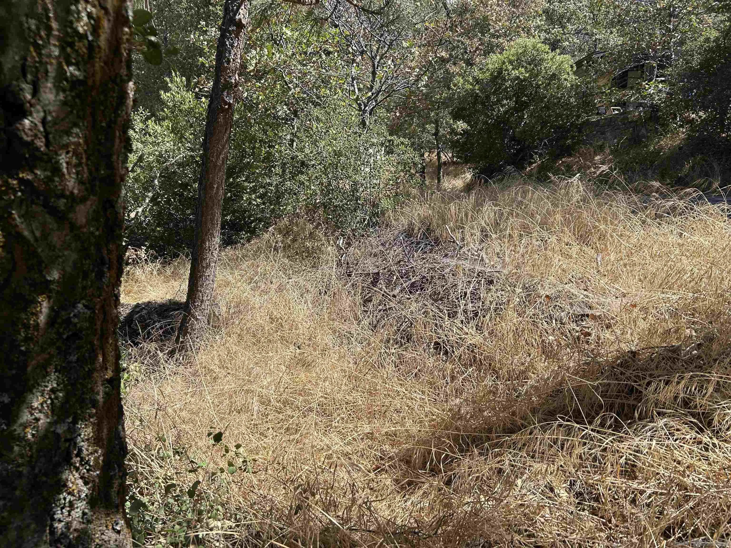 Julian, CA 92036