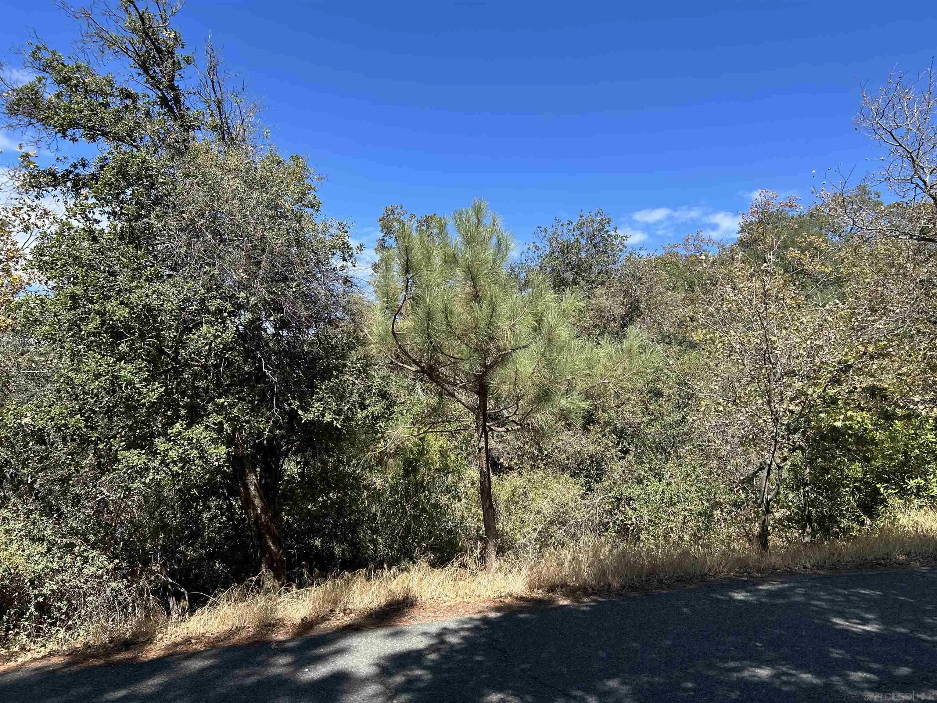 0 Whispering Pines Drive #186, Julian, CA 92036, photo 9