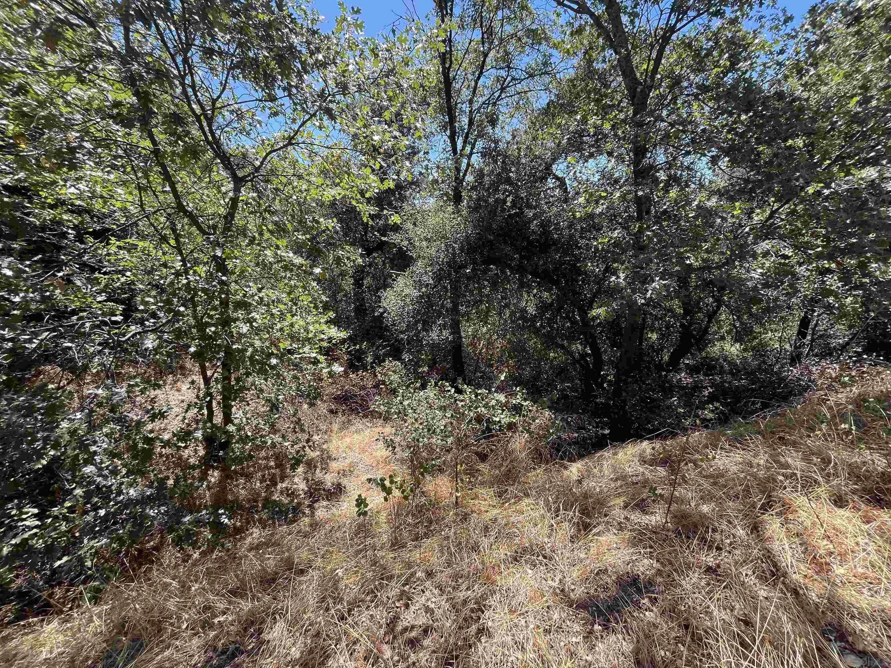 Julian, CA 92036
