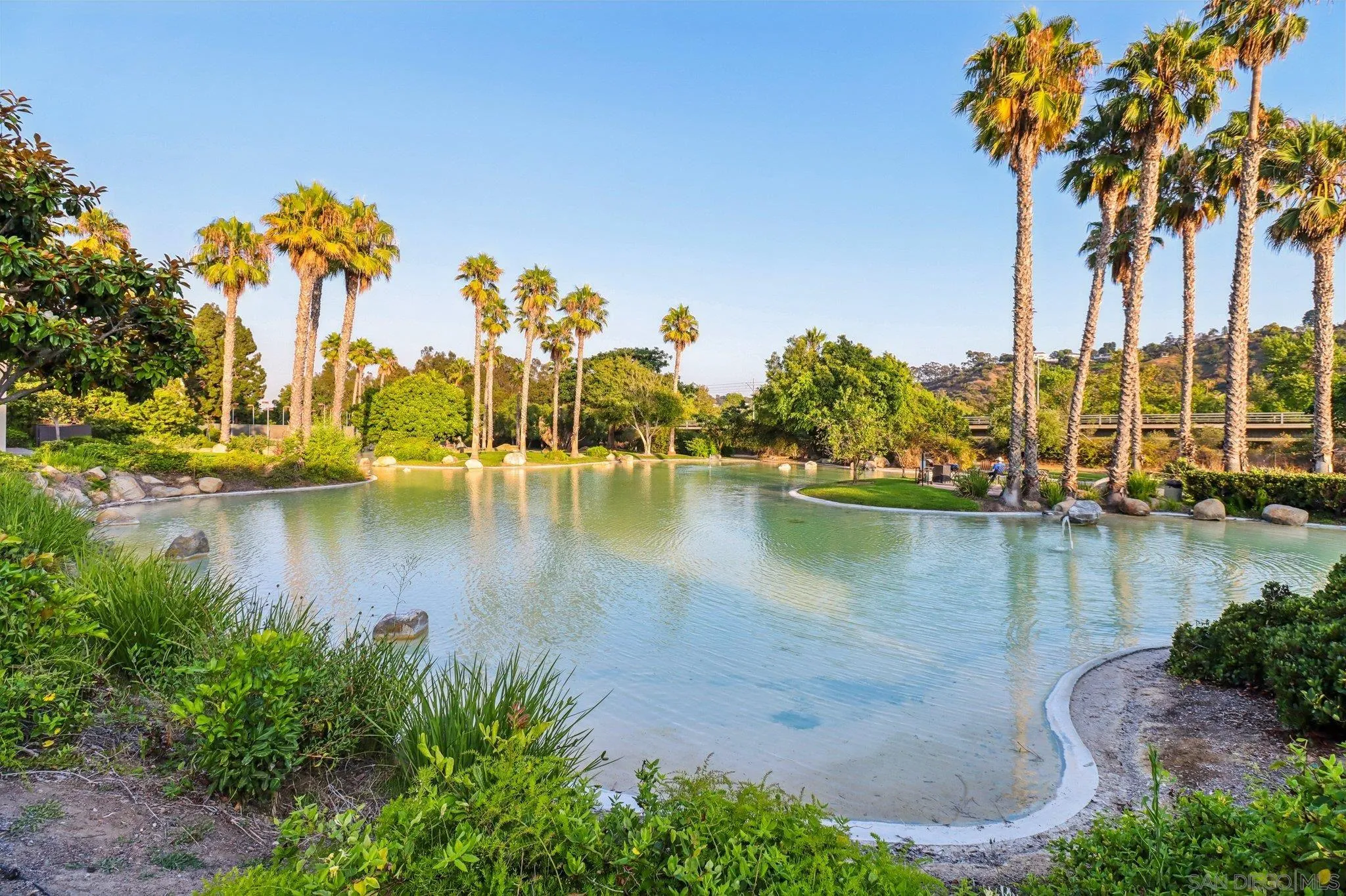 Photo #64: 260007231 Listing: Photo #64