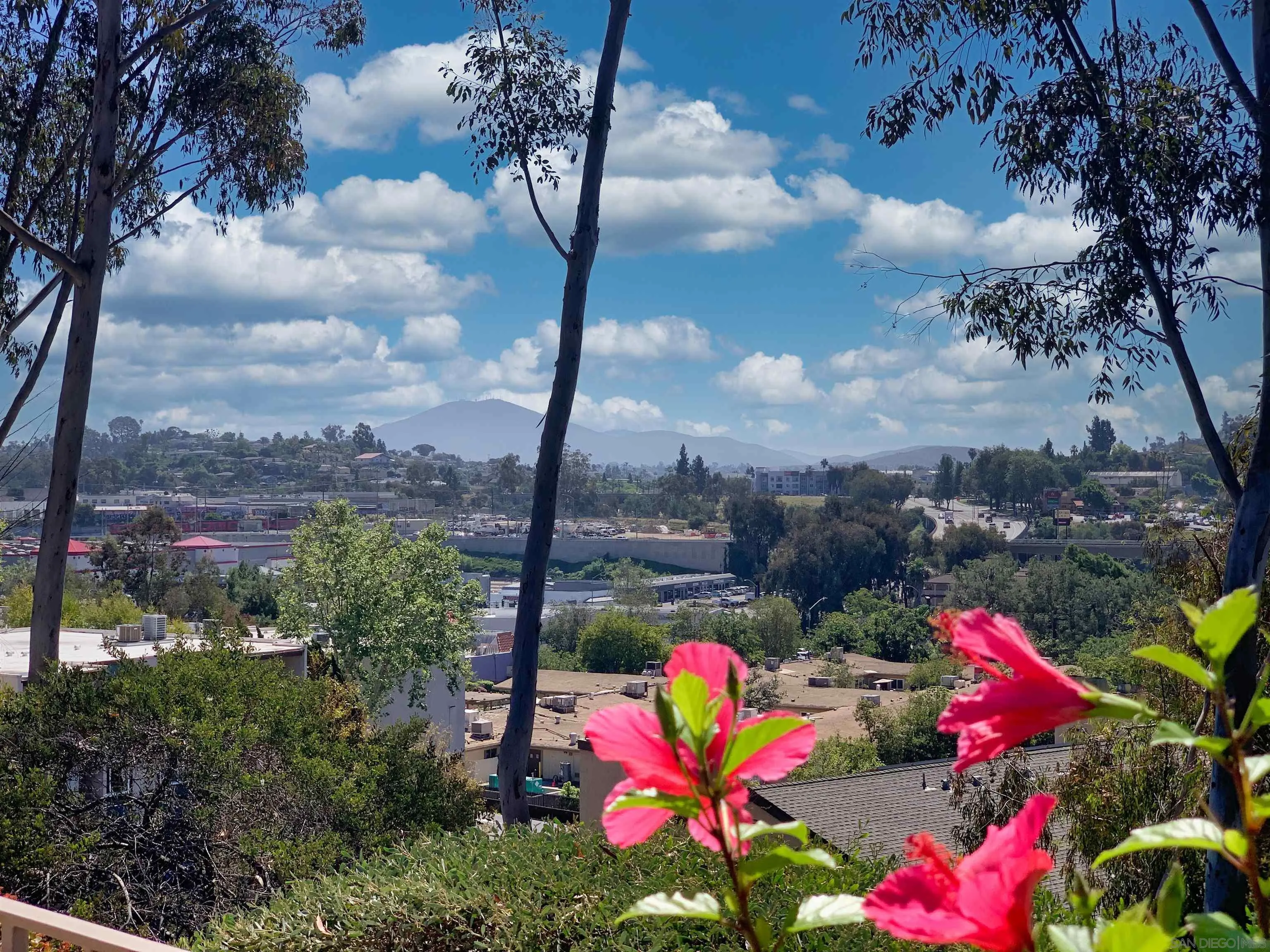 Photo #1: 260007242 Listing: Photo #1