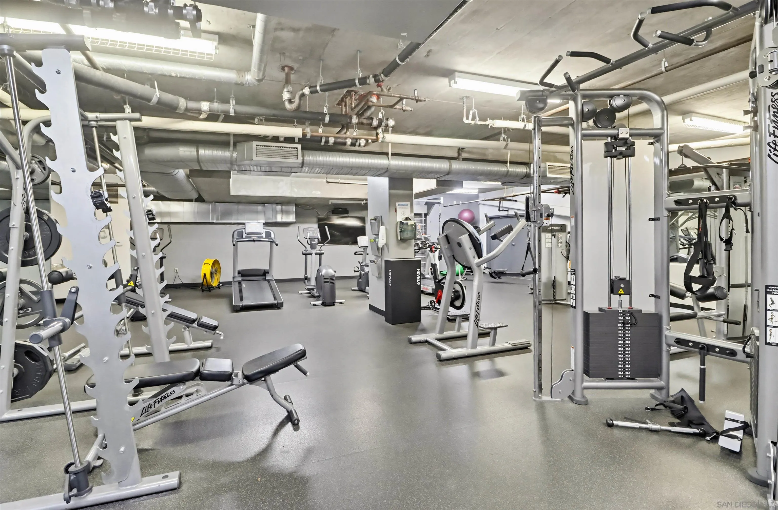 Photo #13: 260007365 Listing: Photo #13