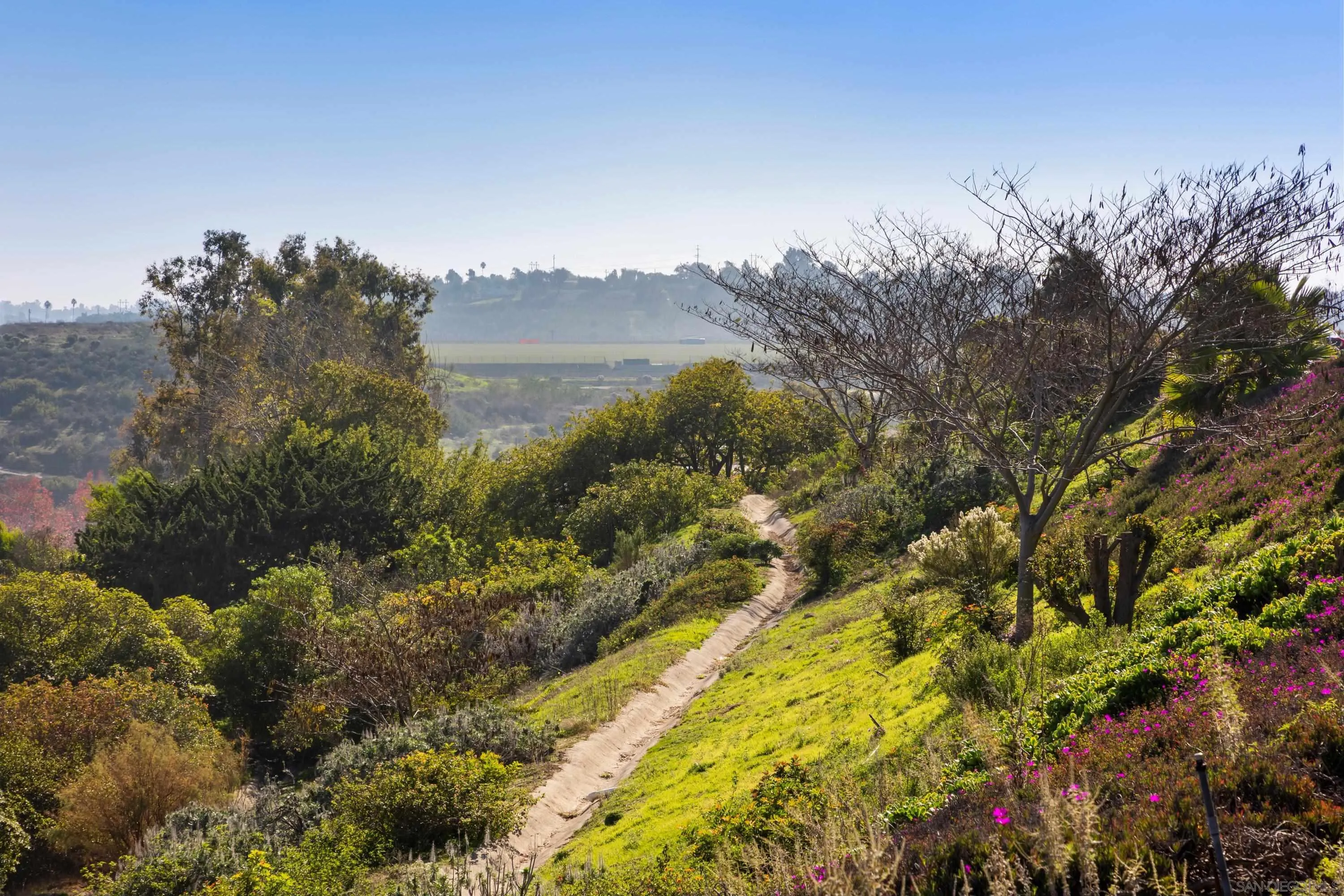 Photo #31: 260007414 Listing: Photo #31