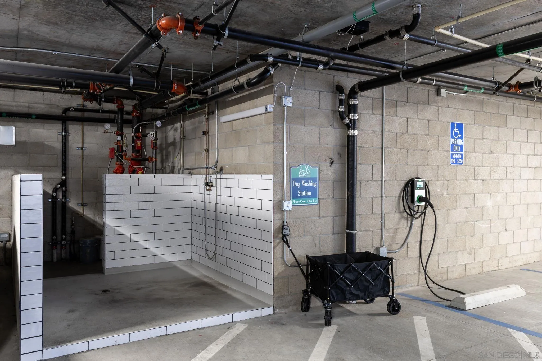 Photo #39: 260007452 Listing: Photo #39