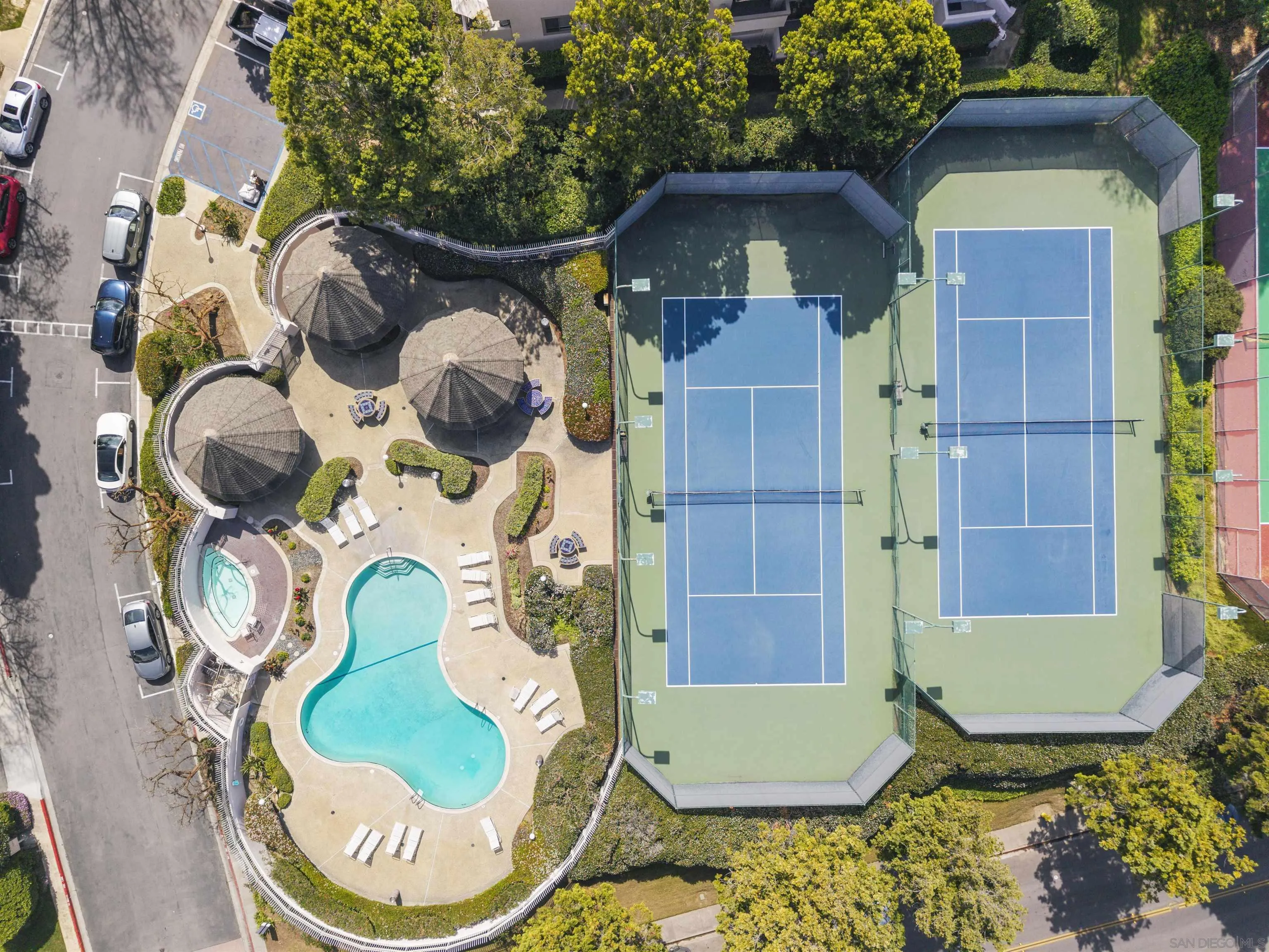 Photo #39: 260007551 Listing: Photo #39