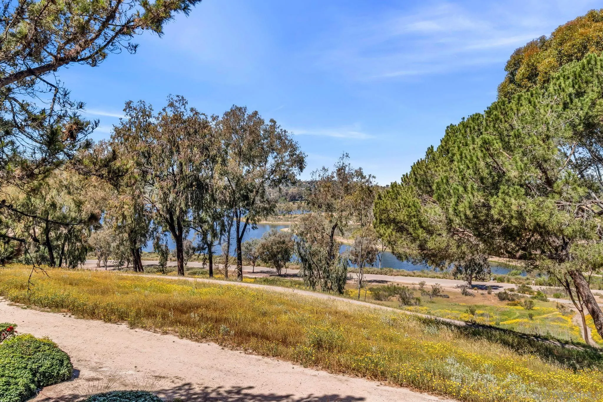 Photo #21: 260007556 Listing: Photo #21