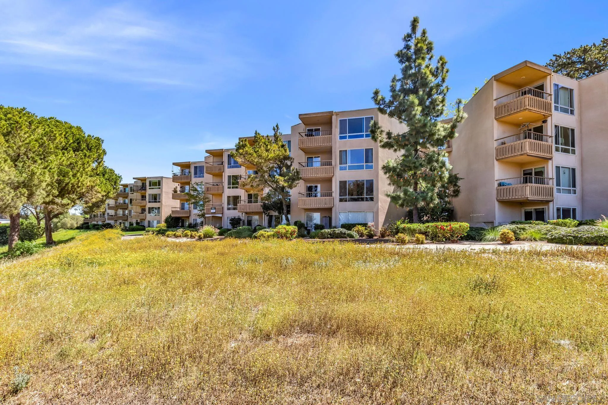 Photo #23: 260007556 Listing: Photo #23