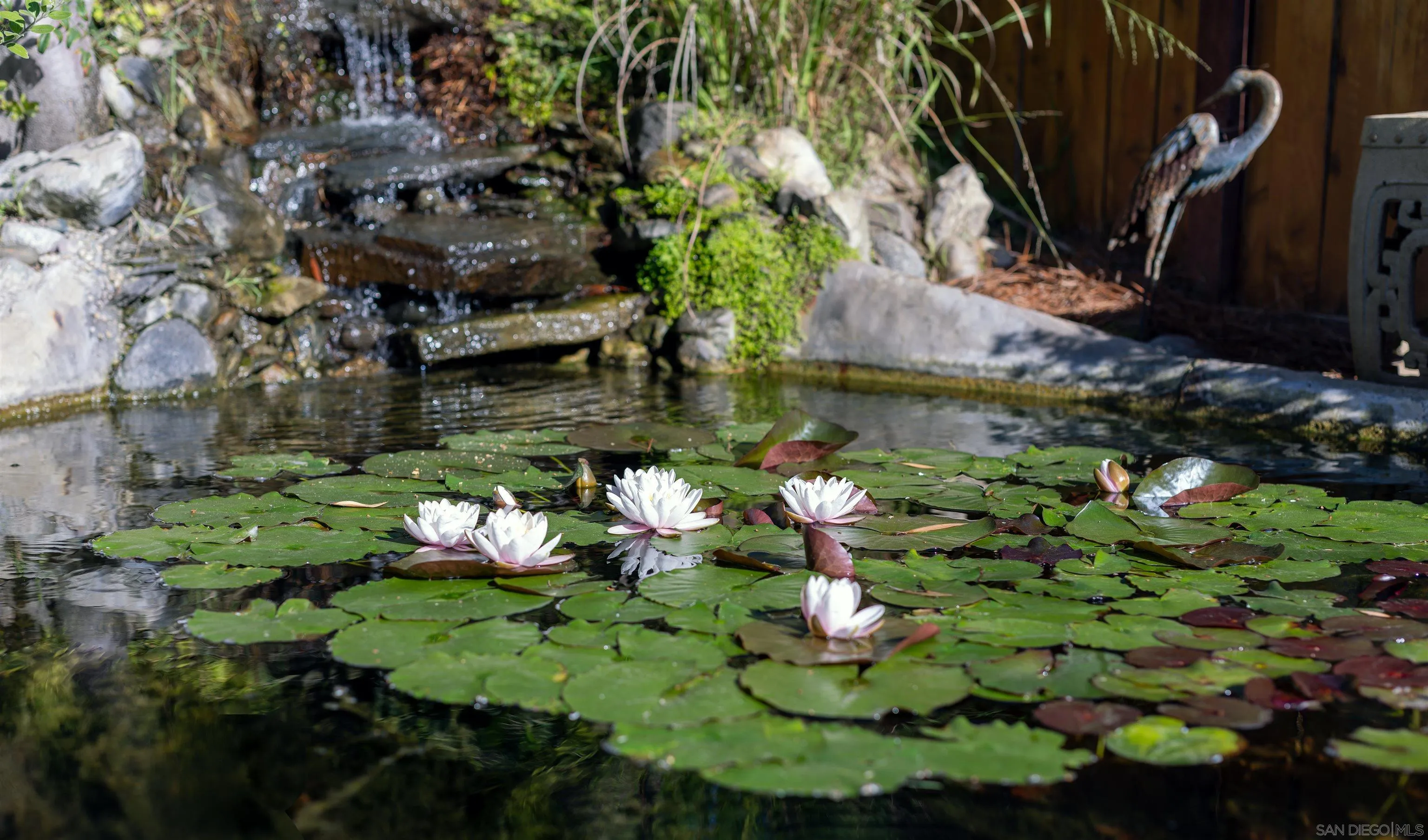 Photo #47: 260007696 Listing: Photo #47