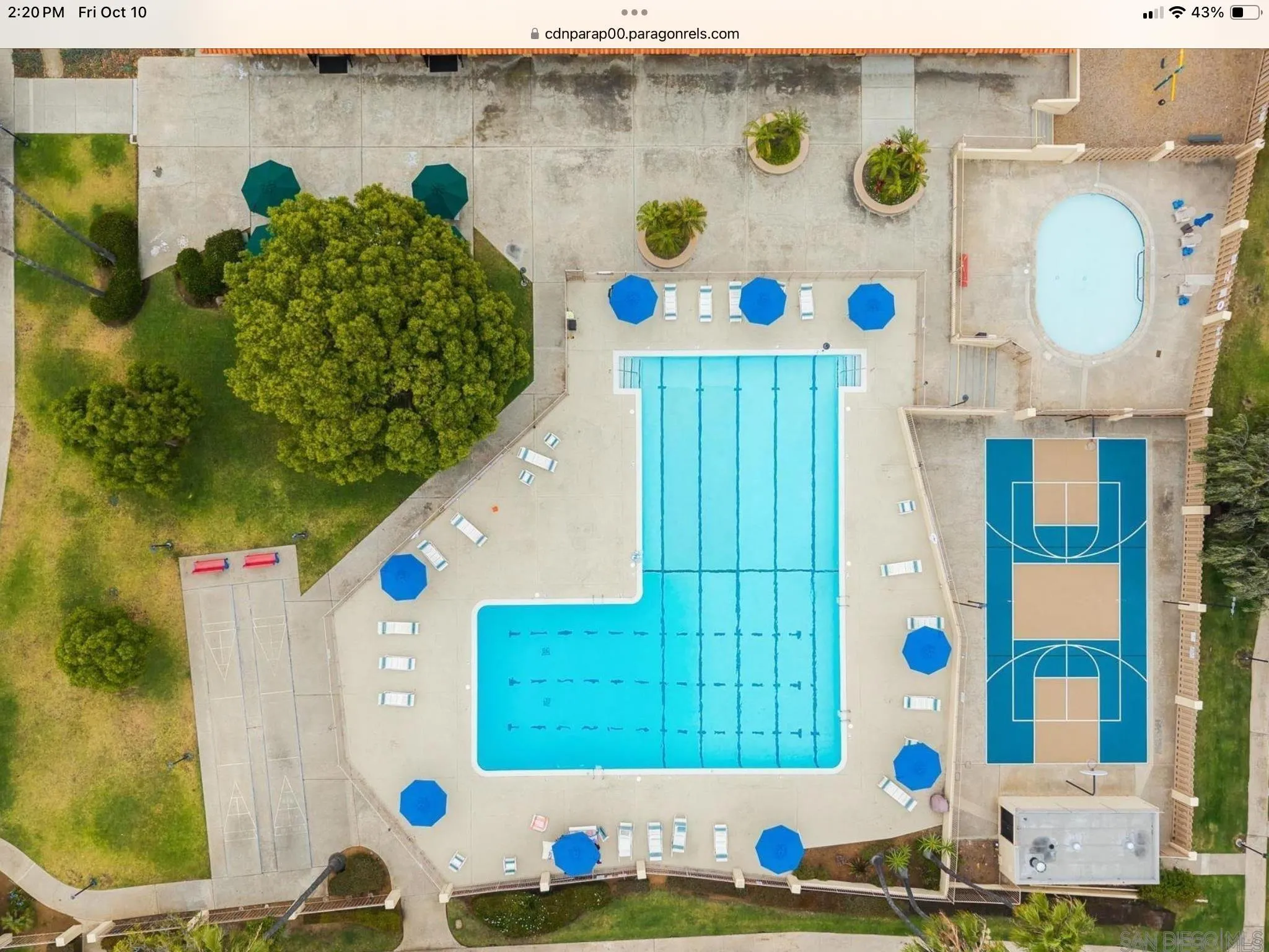 Photo #2: 260007776 Listing: Photo #2