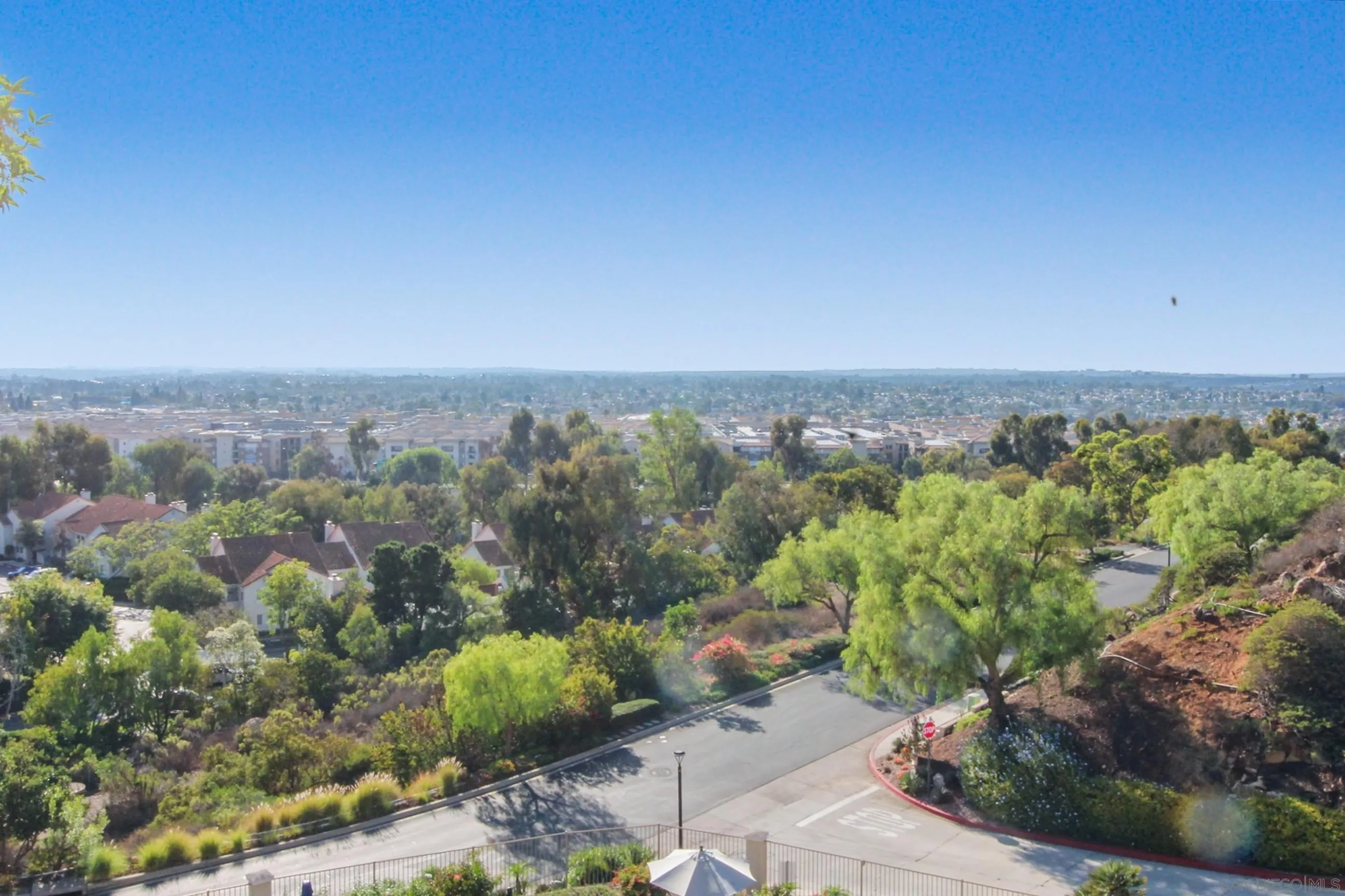 Photo #3: 260007857 Listing: Photo #3