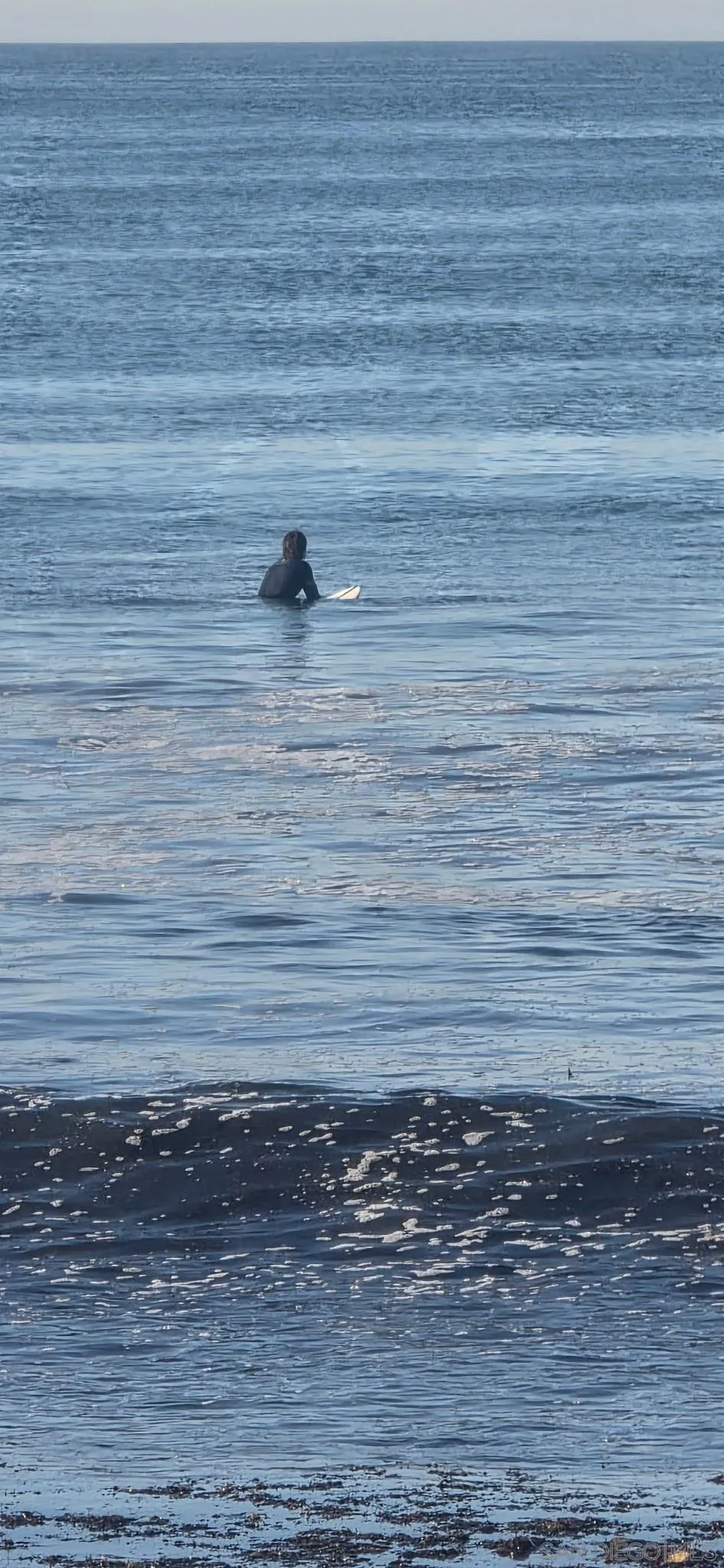 Photo #4: 260007862 Listing: Photo #4