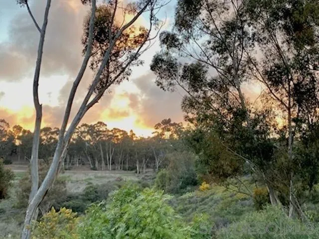 Photo #9: 260007919 Listing: Photo #9