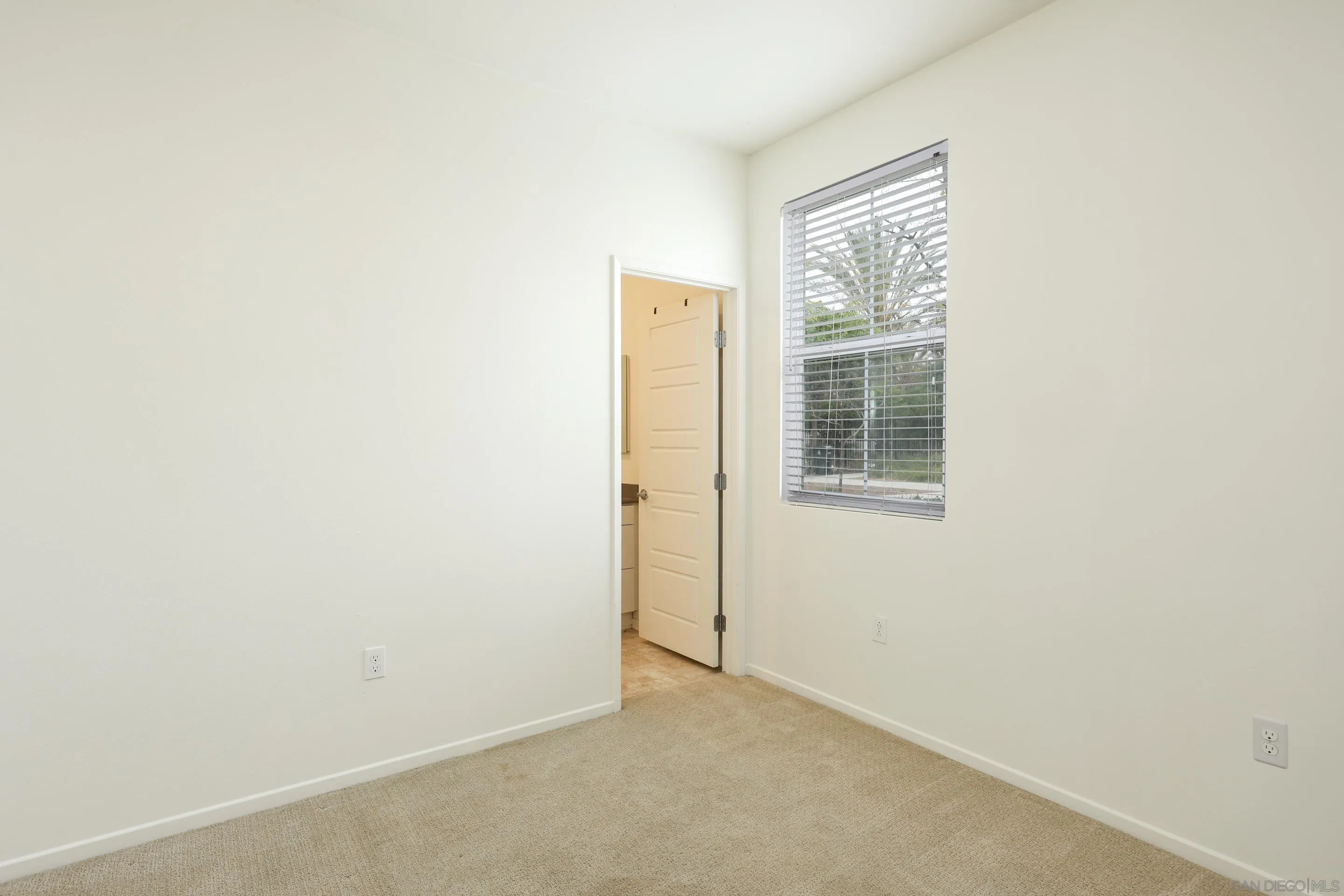 Photo #5: 260008162 Listing: Photo #5