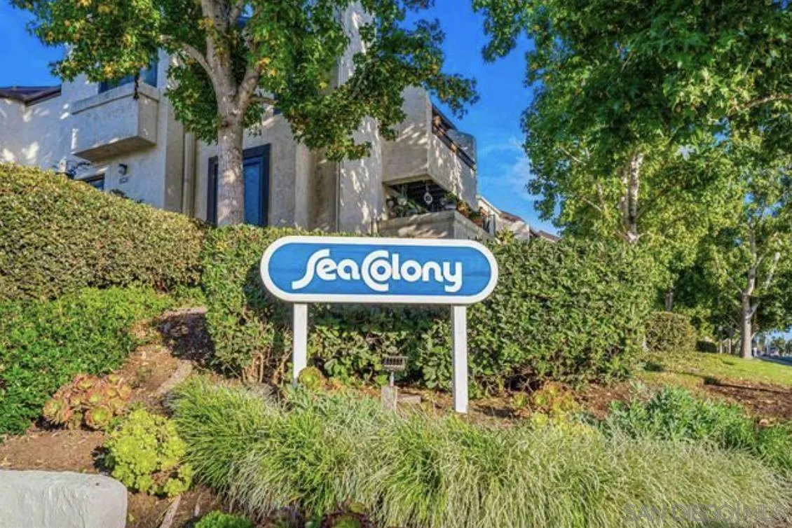 Photo #3: 260008247 Listing: Photo #3